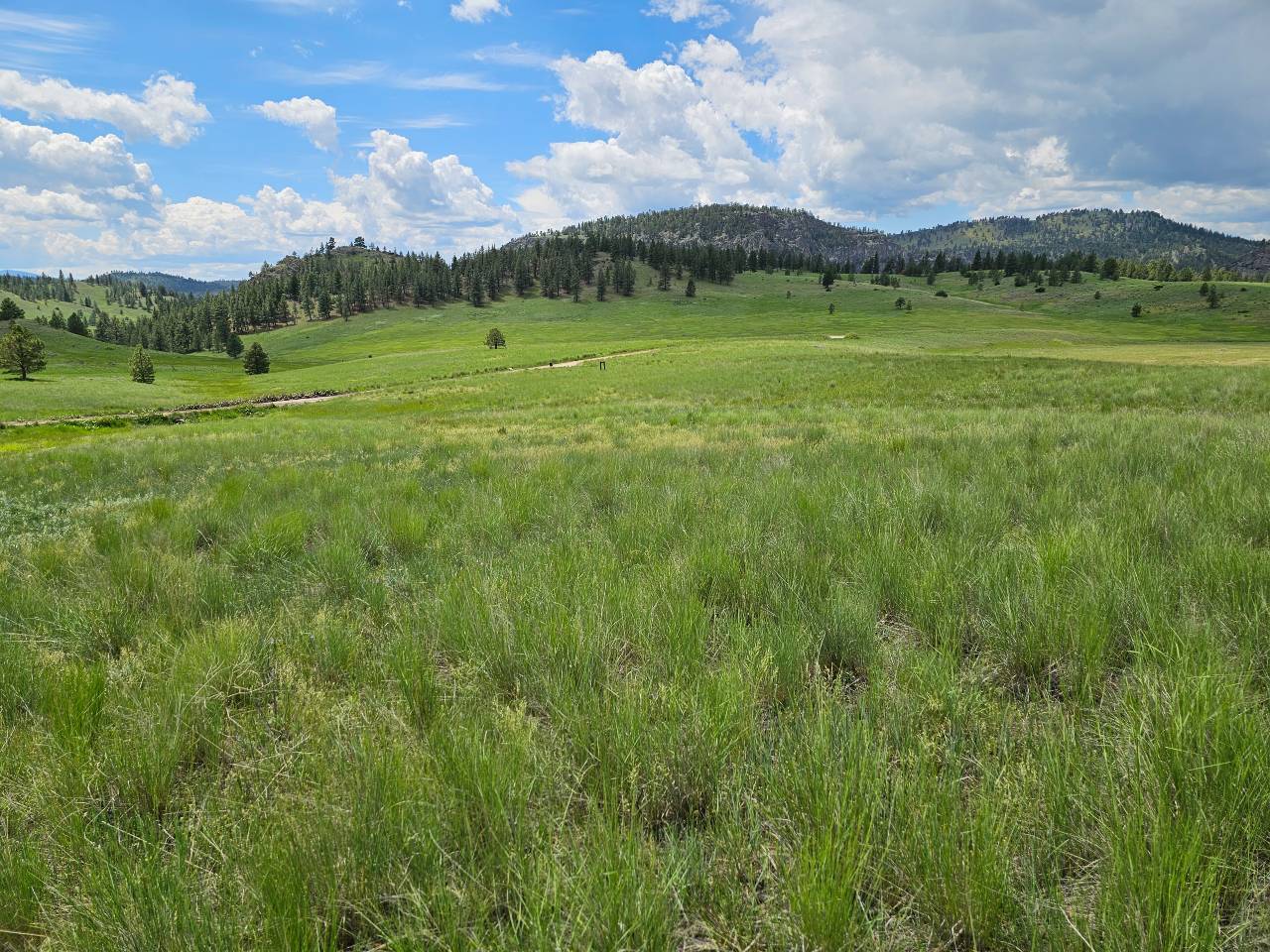 acreage for sale, acreage for sale by owner, acreage for sale in montana, acreage in montana, buy land, buy land in montana, buy land montana, buy montana land, cheap land, cheap land for sale, cheap land for sale in montana, cheap land montana, cheap montana land, cheap off grid land, cheap off grid land for sale, for sale by owner, forsalebyowner, forsalebyowner montana, fsbo, fsbo montana, fsbo real estate, horse property for sale, horse property for sale in montana, hunting land for sale by owner, hunting land for sale in montana, hunting property for sale, hunting property for sale in montana, land for sale by owner, land for sale in Montana, land for sale Montana, land in Montana, lands for sale, landwatch, landwatch montana, montana acreages for sale, montana hunting land for sale, montana land, montana land for sale, montana land for sale by owner, montana mountain land for sale, montana property, Montana property for sale, montana real estate, mountain land for sale, mountain land for sale in montana, mountain properties for sale, mountain property for sale, mountain real estate, off grid land, off grid land for sale, off grid property for sale, off grid real estate, off the grid, property, property for sale by owner, property for sale by owner in montana, property for sale in Montana, property for sale montana, property in Montana, remote properties, remote property for sale, western montana land for sale