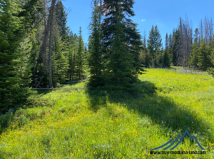 acreage for sale, acreage for sale by owner, acreage for sale in montana, acreage in montana, buy land, buy land in montana, buy land montana, buy montana land, cheap land, cheap land for sale, cheap land for sale in montana, cheap land montana, cheap montana land, cheap off grid land, cheap off grid land for sale, for sale by owner, forsalebyowner, forsalebyowner montana, fsbo, fsbo montana, fsbo real estate, horse property for sale, horse property for sale in montana, hunting land for sale by owner, hunting land for sale in montana, hunting property for sale, hunting property for sale in montana, land for sale by owner, land for sale in Montana, land for sale Montana, land in Montana, lands for sale, landwatch, landwatch montana, montana acreages for sale, montana hunting land for sale, montana land, montana land for sale, montana land for sale by owner, montana mountain land for sale, montana property, Montana property for sale, montana real estate, mountain land for sale, mountain land for sale in montana, mountain properties for sale, mountain property for sale, mountain real estate, off grid land, off grid land for sale, off grid property for sale, off grid real estate, off the grid, property, property for sale by owner, property for sale by owner in montana, property for sale in Montana, property for sale montana, property in Montana, remote properties, remote property for sale, western montana land for sale