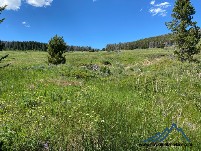 acreage for sale, acreage for sale by owner, acreage for sale in montana, acreage in montana, buy land, buy land in montana, buy land montana, buy montana land, cheap land, cheap land for sale, cheap land for sale in montana, cheap land montana, cheap montana land, cheap off grid land, cheap off grid land for sale, for sale by owner, forsalebyowner, forsalebyowner montana, fsbo, fsbo montana, fsbo real estate, horse property for sale, horse property for sale in montana, hunting land for sale by owner, hunting land for sale in montana, hunting property for sale, hunting property for sale in montana, land for sale by owner, land for sale in Montana, land for sale Montana, land in Montana, lands for sale, landwatch, landwatch montana, montana acreages for sale, montana hunting land for sale, montana land, montana land for sale, montana land for sale by owner, montana mountain land for sale, montana property, Montana property for sale, montana real estate, mountain land for sale, mountain land for sale in montana, mountain properties for sale, mountain property for sale, mountain real estate, off grid land, off grid land for sale, off grid property for sale, off grid real estate, off the grid, property, property for sale by owner, property for sale by owner in montana, property for sale in Montana, property for sale montana, property in Montana, remote properties, remote property for sale, western montana land for sale