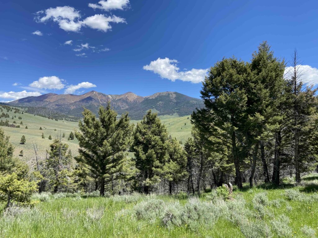 acreage for sale, acreage for sale by owner, acreage for sale in montana, acreage in montana, buy land, buy land in montana, buy land montana, buy montana land, cheap land, cheap land for sale, cheap land for sale in montana, cheap land montana, cheap montana land, cheap off grid land, cheap off grid land for sale, for sale by owner, forsalebyowner, forsalebyowner montana, fsbo, fsbo montana, fsbo real estate, horse property for sale, horse property for sale in montana, hunting land for sale by owner, hunting land for sale in montana, hunting property for sale, hunting property for sale in montana, land for sale by owner, land for sale in Montana, land for sale Montana, land in Montana, lands for sale, landwatch, landwatch montana, montana acreages for sale, montana hunting land for sale, montana land, montana land for sale, montana land for sale by owner, montana mountain land for sale, montana property, Montana property for sale, montana real estate, mountain land for sale, mountain land for sale in montana, mountain properties for sale, mountain property for sale, mountain real estate, off grid land, off grid land for sale, off grid property for sale, off grid real estate, off the grid, property, property for sale by owner, property for sale by owner in montana, property for sale in Montana, property for sale montana, property in Montana, remote properties, remote property for sale, western montana land for sale