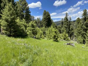 acreage for sale, acreage for sale by owner, acreage for sale in montana, acreage in montana, buy land, buy land in montana, buy land montana, buy montana land, cheap land, cheap land for sale, cheap land for sale in montana, cheap land montana, cheap montana land, cheap off grid land, cheap off grid land for sale, for sale by owner, forsalebyowner, forsalebyowner montana, fsbo, fsbo montana, fsbo real estate, horse property for sale, horse property for sale in montana, hunting land for sale by owner, hunting land for sale in montana, hunting property for sale, hunting property for sale in montana, land for sale by owner, land for sale in Montana, land for sale Montana, land in Montana, lands for sale, landwatch, landwatch montana, montana acreages for sale, montana hunting land for sale, montana land, montana land for sale, montana land for sale by owner, montana mountain land for sale, montana property, Montana property for sale, montana real estate, mountain land for sale, mountain land for sale in montana, mountain properties for sale, mountain property for sale, mountain real estate, off grid land, off grid land for sale, off grid property for sale, off grid real estate, off the grid, property, property for sale by owner, property for sale by owner in montana, property for sale in Montana, property for sale montana, property in Montana, remote properties, remote property for sale, western montana land for sale