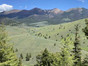 acreage for sale, acreage for sale by owner, acreage for sale in montana, acreage in montana, buy land, buy land in montana, buy land montana, buy montana land, cheap land, cheap land for sale, cheap land for sale in montana, cheap land montana, cheap montana land, cheap off grid land, cheap off grid land for sale, for sale by owner, forsalebyowner, forsalebyowner montana, fsbo, fsbo montana, fsbo real estate, horse property for sale, horse property for sale in montana, hunting land for sale by owner, hunting land for sale in montana, hunting property for sale, hunting property for sale in montana, land for sale by owner, land for sale in Montana, land for sale Montana, land in Montana, lands for sale, landwatch, landwatch montana, montana acreages for sale, montana hunting land for sale, montana land, montana land for sale, montana land for sale by owner, montana mountain land for sale, montana property, Montana property for sale, montana real estate, mountain land for sale, mountain land for sale in montana, mountain properties for sale, mountain property for sale, mountain real estate, off grid land, off grid land for sale, off grid property for sale, off grid real estate, off the grid, property, property for sale by owner, property for sale by owner in montana, property for sale in Montana, property for sale montana, property in Montana, remote properties, remote property for sale, western montana land for sale