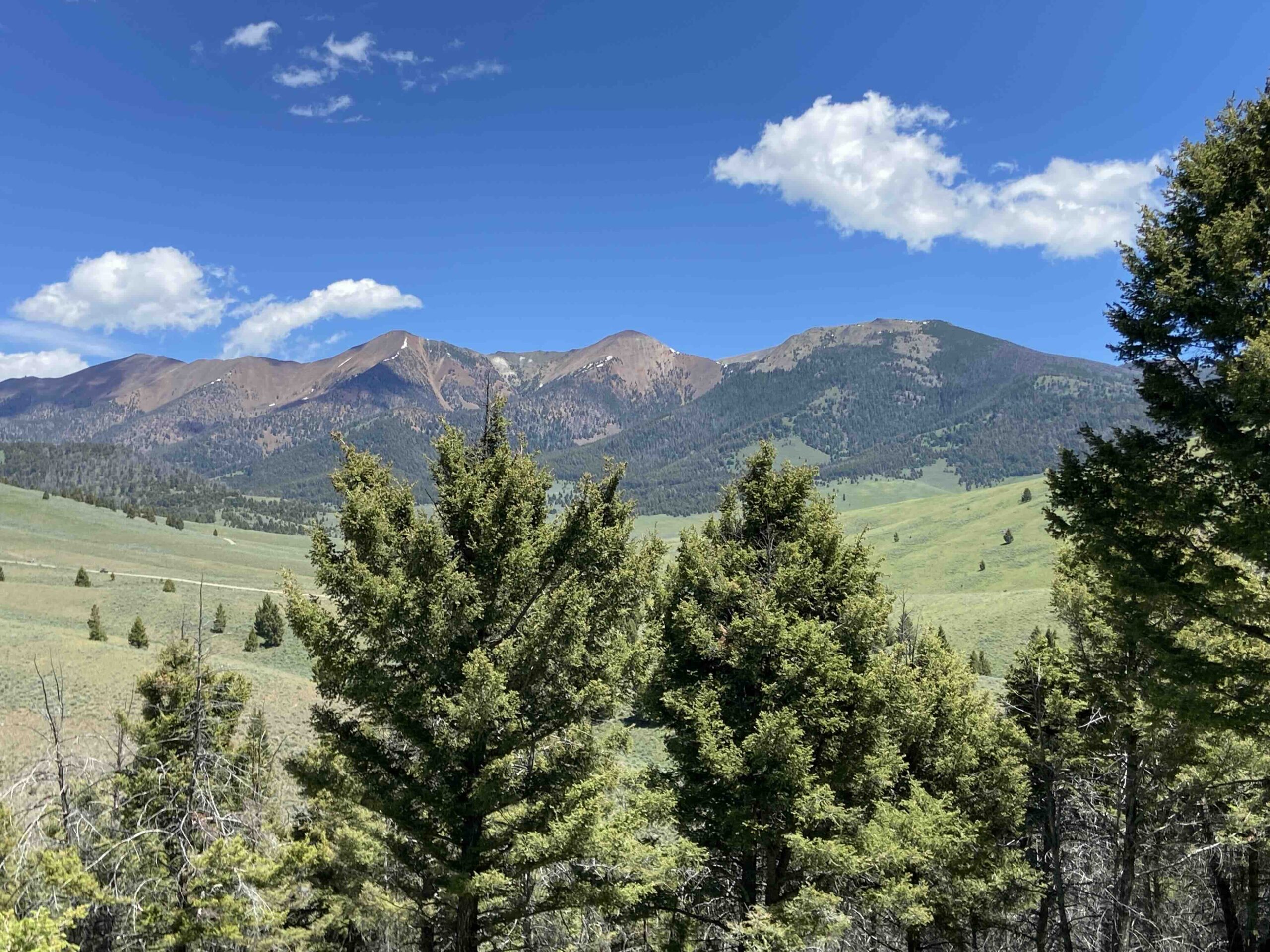 acreage for sale, acreage for sale by owner, acreage for sale in montana, acreage in montana, buy land, buy land in montana, buy land montana, buy montana land, cheap land, cheap land for sale, cheap land for sale in montana, cheap land montana, cheap montana land, cheap off grid land, cheap off grid land for sale, for sale by owner, forsalebyowner, forsalebyowner montana, fsbo, fsbo montana, fsbo real estate, horse property for sale, horse property for sale in montana, hunting land for sale by owner, hunting land for sale in montana, hunting property for sale, hunting property for sale in montana, land for sale by owner, land for sale in Montana, land for sale Montana, land in Montana, lands for sale, landwatch, landwatch montana, montana acreages for sale, montana hunting land for sale, montana land, montana land for sale, montana land for sale by owner, montana mountain land for sale, montana property, Montana property for sale, montana real estate, mountain land for sale, mountain land for sale in montana, mountain properties for sale, mountain property for sale, mountain real estate, off grid land, off grid land for sale, off grid property for sale, off grid real estate, off the grid, property, property for sale by owner, property for sale by owner in montana, property for sale in Montana, property for sale montana, property in Montana, remote properties, remote property for sale, western montana land for sale
