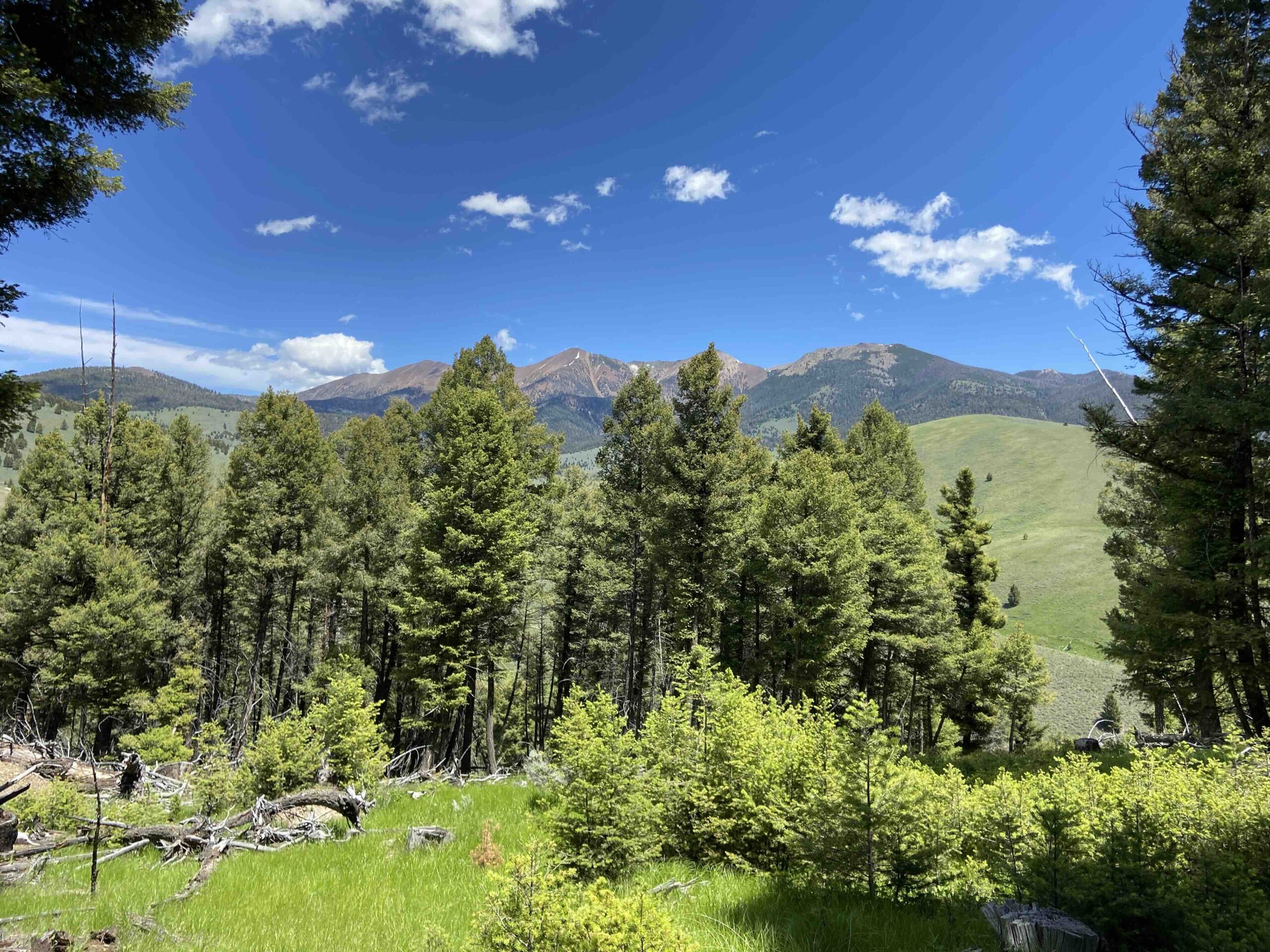 acreage for sale, acreage for sale by owner, acreage for sale in montana, acreage in montana, buy land, buy land in montana, buy land montana, buy montana land, cheap land, cheap land for sale, cheap land for sale in montana, cheap land montana, cheap montana land, cheap off grid land, cheap off grid land for sale, for sale by owner, forsalebyowner, forsalebyowner montana, fsbo, fsbo montana, fsbo real estate, horse property for sale, horse property for sale in montana, hunting land for sale by owner, hunting land for sale in montana, hunting property for sale, hunting property for sale in montana, land for sale by owner, land for sale in Montana, land for sale Montana, land in Montana, lands for sale, landwatch, landwatch montana, montana acreages for sale, montana hunting land for sale, montana land, montana land for sale, montana land for sale by owner, montana mountain land for sale, montana property, Montana property for sale, montana real estate, mountain land for sale, mountain land for sale in montana, mountain properties for sale, mountain property for sale, mountain real estate, off grid land, off grid land for sale, off grid property for sale, off grid real estate, off the grid, property, property for sale by owner, property for sale by owner in montana, property for sale in Montana, property for sale montana, property in Montana, remote properties, remote property for sale, western montana land for sale