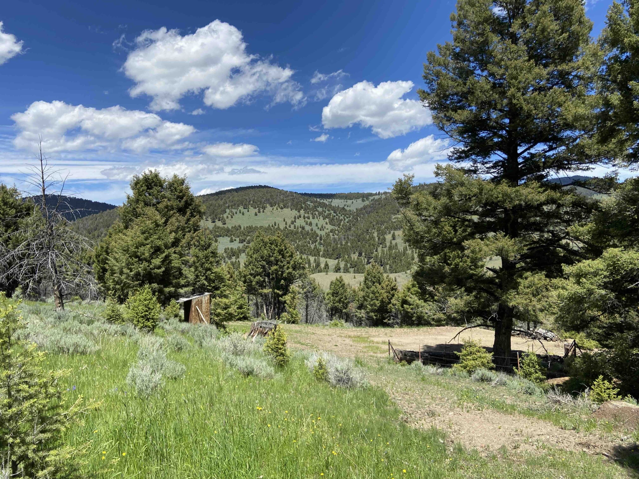 acreage for sale, acreage for sale by owner, acreage for sale in montana, acreage in montana, buy land, buy land in montana, buy land montana, buy montana land, cheap land, cheap land for sale, cheap land for sale in montana, cheap land montana, cheap montana land, cheap off grid land, cheap off grid land for sale, for sale by owner, forsalebyowner, forsalebyowner montana, fsbo, fsbo montana, fsbo real estate, horse property for sale, horse property for sale in montana, hunting land for sale by owner, hunting land for sale in montana, hunting property for sale, hunting property for sale in montana, land for sale by owner, land for sale in Montana, land for sale Montana, land in Montana, lands for sale, landwatch, landwatch montana, montana acreages for sale, montana hunting land for sale, montana land, montana land for sale, montana land for sale by owner, montana mountain land for sale, montana property, Montana property for sale, montana real estate, mountain land for sale, mountain land for sale in montana, mountain properties for sale, mountain property for sale, mountain real estate, off grid land, off grid land for sale, off grid property for sale, off grid real estate, off the grid, property, property for sale by owner, property for sale by owner in montana, property for sale in Montana, property for sale montana, property in Montana, remote properties, remote property for sale, western montana land for sale