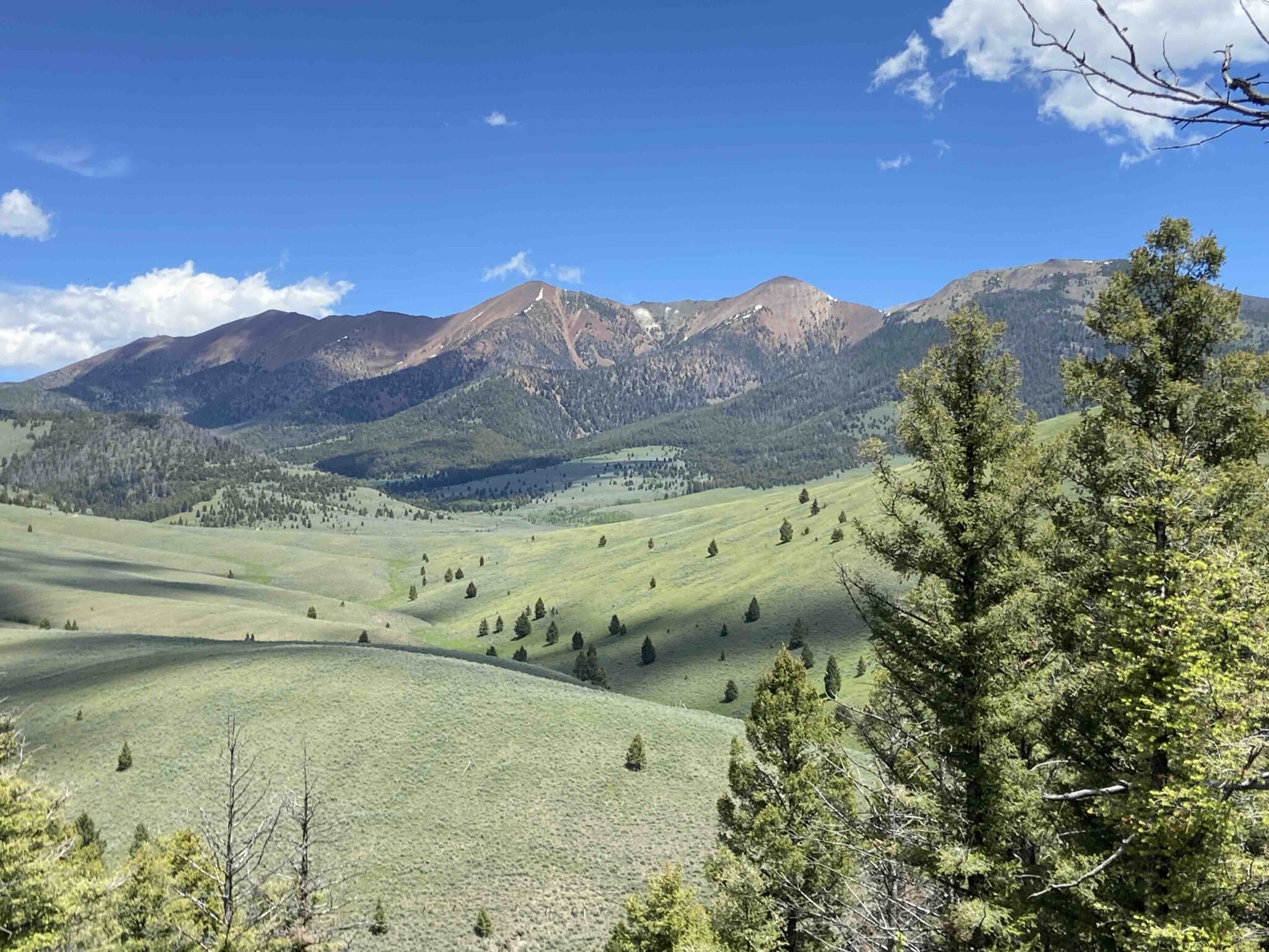 Land In Montana – Columbia Property – Buy Montana Land