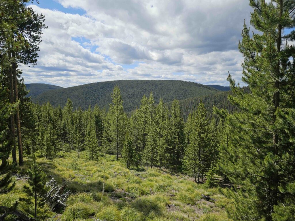 acreage for sale, acreage for sale by owner, acreage for sale in montana, acreage in montana, buy land, buy land in montana, buy land montana, buy montana land, cheap land, cheap land for sale, cheap land for sale in montana, cheap land montana, cheap montana land, cheap off grid land, cheap off grid land for sale, for sale by owner, forsalebyowner, forsalebyowner montana, fsbo, fsbo montana, fsbo real estate, horse property for sale, horse property for sale in montana, hunting land for sale by owner, hunting land for sale in montana, hunting property for sale, hunting property for sale in montana, land for sale by owner, land for sale in Montana, land for sale Montana, land in Montana, lands for sale, landwatch, landwatch montana, montana acreages for sale, montana hunting land for sale, montana land, montana land for sale, montana land for sale by owner, montana mountain land for sale, montana property, Montana property for sale, montana real estate, mountain land for sale, mountain land for sale in montana, mountain properties for sale, mountain property for sale, mountain real estate, off grid land, off grid land for sale, off grid property for sale, off grid real estate, off the grid, property, property for sale by owner, property for sale by owner in montana, property for sale in Montana, property for sale montana, property in Montana, remote properties, remote property for sale, western montana land for sale