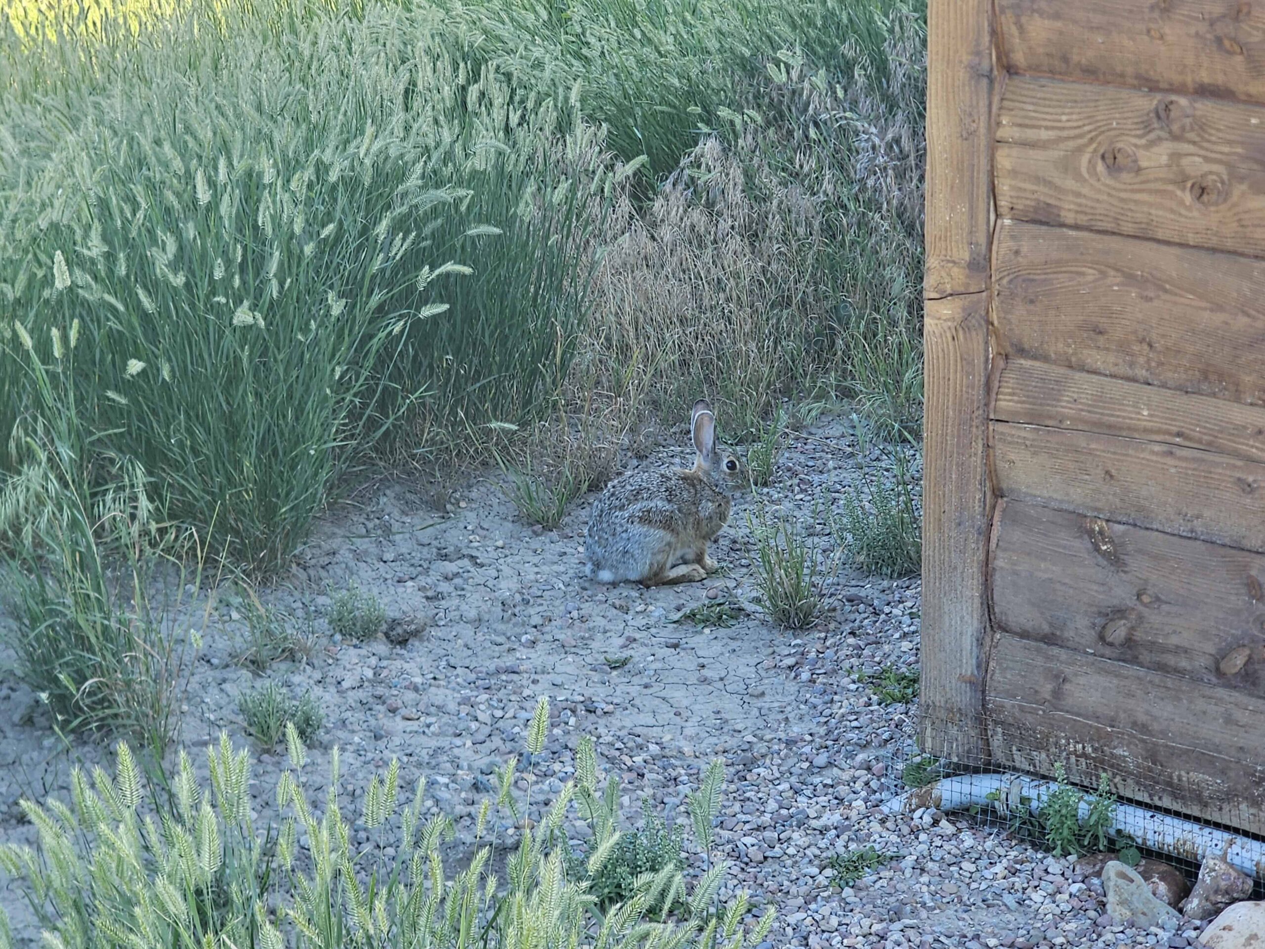 acreage for sale, acreage for sale by owner, acreage for sale in montana, acreage in montana, buy land, buy land in montana, buy land montana, buy montana land, cheap land, cheap land for sale, cheap land for sale in montana, cheap land montana, cheap montana land, cheap off grid land, cheap off grid land for sale, for sale by owner, forsalebyowner, forsalebyowner montana, fsbo, fsbo montana, fsbo real estate, horse property for sale, horse property for sale in montana, hunting land for sale by owner, hunting land for sale in montana, hunting property for sale, hunting property for sale in montana, land for sale by owner, land for sale in Montana, land for sale Montana, land in Montana, lands for sale, landwatch, landwatch montana, montana acreages for sale, montana hunting land for sale, montana land, montana land for sale, montana land for sale by owner, montana mountain land for sale, montana property, Montana property for sale, montana real estate, mountain land for sale, mountain land for sale in montana, mountain properties for sale, mountain property for sale, mountain real estate, off grid land, off grid land for sale, off grid property for sale, off grid real estate, off the grid, property, property for sale by owner, property for sale by owner in montana, property for sale in Montana, property for sale montana, property in Montana, remote properties, remote property for sale, western montana land for sale