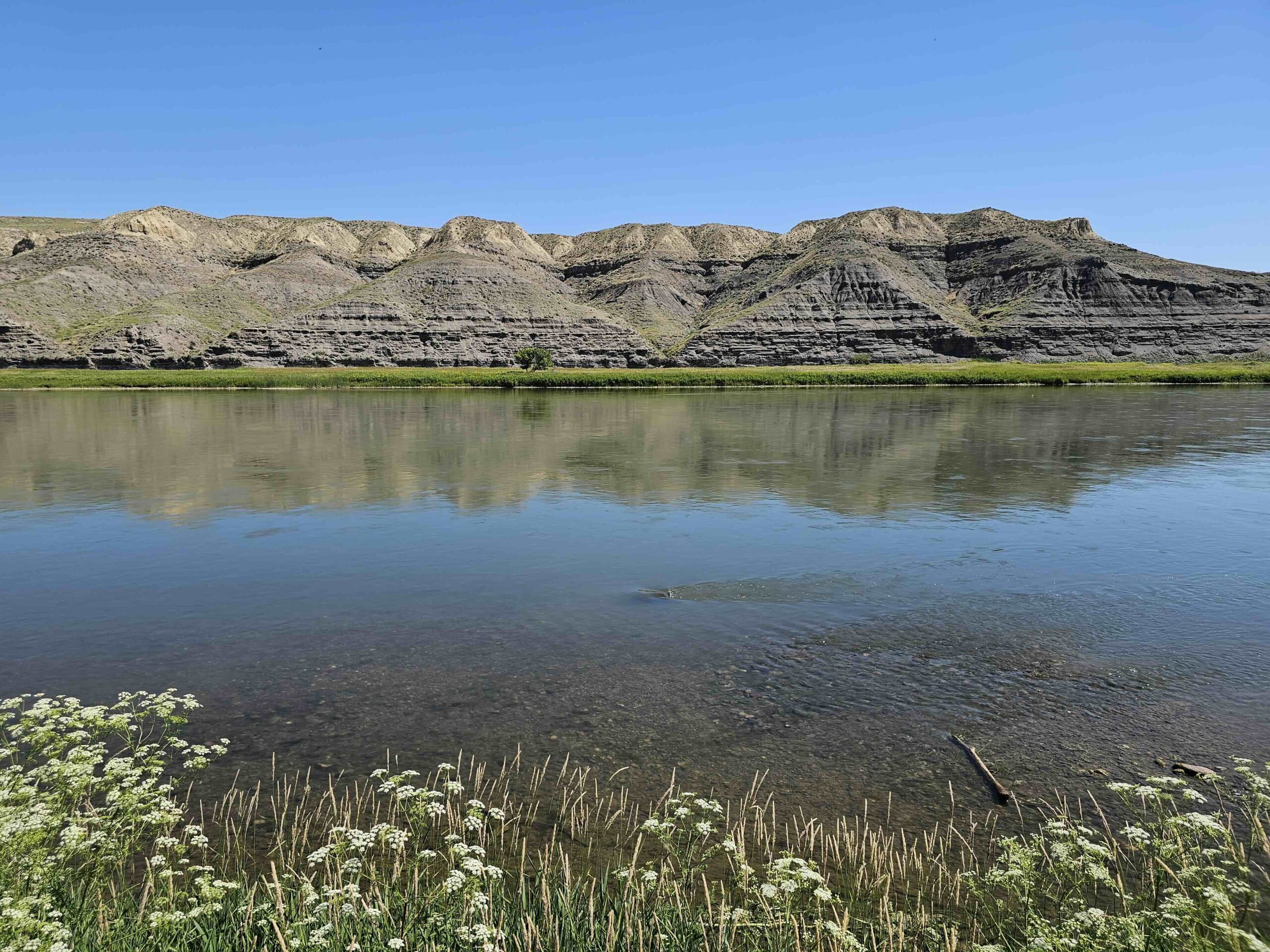 acreage for sale, acreage for sale by owner, acreage for sale in montana, acreage in montana, buy land, buy land in montana, buy land montana, buy montana land, cheap land, cheap land for sale, cheap land for sale in montana, cheap land montana, cheap montana land, cheap off grid land, cheap off grid land for sale, for sale by owner, forsalebyowner, forsalebyowner montana, fsbo, fsbo montana, fsbo real estate, horse property for sale, horse property for sale in montana, hunting land for sale by owner, hunting land for sale in montana, hunting property for sale, hunting property for sale in montana, land for sale by owner, land for sale in Montana, land for sale Montana, land in Montana, lands for sale, landwatch, landwatch montana, montana acreages for sale, montana hunting land for sale, montana land, montana land for sale, montana land for sale by owner, montana mountain land for sale, montana property, Montana property for sale, montana real estate, mountain land for sale, mountain land for sale in montana, mountain properties for sale, mountain property for sale, mountain real estate, off grid land, off grid land for sale, off grid property for sale, off grid real estate, off the grid, property, property for sale by owner, property for sale by owner in montana, property for sale in Montana, property for sale montana, property in Montana, remote properties, remote property for sale, western montana land for sale