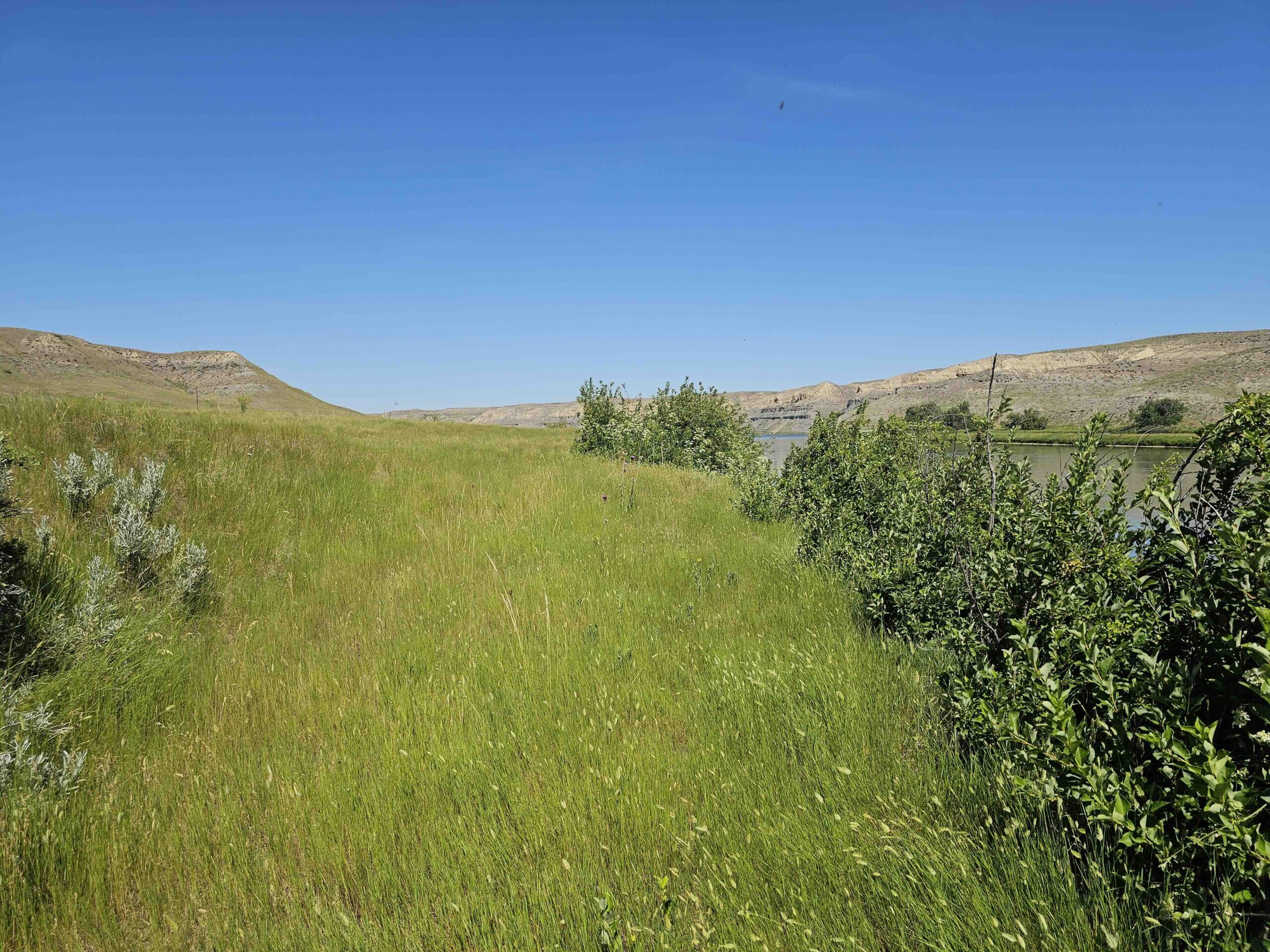 acreage for sale, acreage for sale by owner, acreage for sale in montana, acreage in montana, buy land, buy land in montana, buy land montana, buy montana land, cheap land, cheap land for sale, cheap land for sale in montana, cheap land montana, cheap montana land, cheap off grid land, cheap off grid land for sale, for sale by owner, forsalebyowner, forsalebyowner montana, fsbo, fsbo montana, fsbo real estate, horse property for sale, horse property for sale in montana, hunting land for sale by owner, hunting land for sale in montana, hunting property for sale, hunting property for sale in montana, land for sale by owner, land for sale in Montana, land for sale Montana, land in Montana, lands for sale, landwatch, landwatch montana, montana acreages for sale, montana hunting land for sale, montana land, montana land for sale, montana land for sale by owner, montana mountain land for sale, montana property, Montana property for sale, montana real estate, mountain land for sale, mountain land for sale in montana, mountain properties for sale, mountain property for sale, mountain real estate, off grid land, off grid land for sale, off grid property for sale, off grid real estate, off the grid, property, property for sale by owner, property for sale by owner in montana, property for sale in Montana, property for sale montana, property in Montana, remote properties, remote property for sale, western montana land for sale