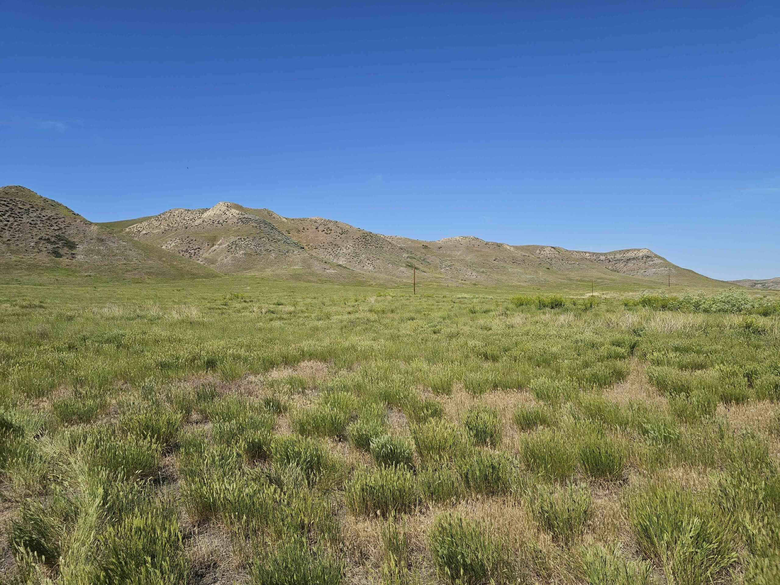 acreage for sale, acreage for sale by owner, acreage for sale in montana, acreage in montana, buy land, buy land in montana, buy land montana, buy montana land, cheap land, cheap land for sale, cheap land for sale in montana, cheap land montana, cheap montana land, cheap off grid land, cheap off grid land for sale, for sale by owner, forsalebyowner, forsalebyowner montana, fsbo, fsbo montana, fsbo real estate, horse property for sale, horse property for sale in montana, hunting land for sale by owner, hunting land for sale in montana, hunting property for sale, hunting property for sale in montana, land for sale by owner, land for sale in Montana, land for sale Montana, land in Montana, lands for sale, landwatch, landwatch montana, montana acreages for sale, montana hunting land for sale, montana land, montana land for sale, montana land for sale by owner, montana mountain land for sale, montana property, Montana property for sale, montana real estate, mountain land for sale, mountain land for sale in montana, mountain properties for sale, mountain property for sale, mountain real estate, off grid land, off grid land for sale, off grid property for sale, off grid real estate, off the grid, property, property for sale by owner, property for sale by owner in montana, property for sale in Montana, property for sale montana, property in Montana, remote properties, remote property for sale, western montana land for sale