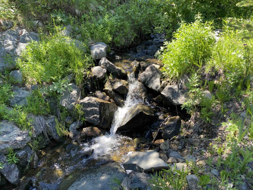 acreage for sale, acreage for sale by owner, acreage for sale in montana, acreage in montana, buy land, buy land in montana, buy land montana, buy montana land, cheap land, cheap land for sale, cheap land for sale in montana, cheap land montana, cheap montana land, cheap off grid land, cheap off grid land for sale, for sale by owner, forsalebyowner, forsalebyowner montana, fsbo, fsbo montana, fsbo real estate, horse property for sale, horse property for sale in montana, hunting land for sale by owner, hunting land for sale in montana, hunting property for sale, hunting property for sale in montana, land for sale by owner, land for sale in Montana, land for sale Montana, land in Montana, lands for sale, landwatch, landwatch montana, montana acreages for sale, montana hunting land for sale, montana land, montana land for sale, montana land for sale by owner, montana mountain land for sale, montana property, Montana property for sale, montana real estate, mountain land for sale, mountain land for sale in montana, mountain properties for sale, mountain property for sale, mountain real estate, off grid land, off grid land for sale, off grid property for sale, off grid real estate, off the grid, property, property for sale by owner, property for sale by owner in montana, property for sale in Montana, property for sale montana, property in Montana, remote properties, remote property for sale, western montana land for sale