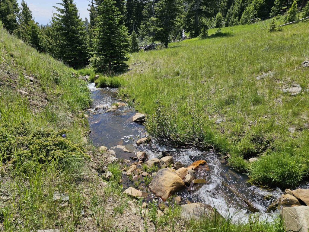 acreage for sale, acreage for sale by owner, acreage for sale in montana, acreage in montana, buy land, buy land in montana, buy land montana, buy montana land, cheap land, cheap land for sale, cheap land for sale in montana, cheap land montana, cheap montana land, cheap off grid land, cheap off grid land for sale, for sale by owner, forsalebyowner, forsalebyowner montana, fsbo, fsbo montana, fsbo real estate, horse property for sale, horse property for sale in montana, hunting land for sale by owner, hunting land for sale in montana, hunting property for sale, hunting property for sale in montana, land for sale by owner, land for sale in Montana, land for sale Montana, land in Montana, land near Mammoth Montana, land on the South Boulder River, lands for sale, landwatch, landwatch montana, montana acreages for sale, montana hunting land for sale, montana land, montana land for sale, montana land for sale by owner, montana mountain land for sale, montana property, Montana property for sale, montana real estate, mountain land for sale, mountain land for sale in montana, mountain properties for sale, mountain property for sale, mountain real estate, off grid land, off grid land for sale, off grid property for sale, off grid real estate, off the grid, property, property for sale by owner, property for sale by owner in montana, property for sale in Montana, property for sale montana, property in Montana, property near Mammoth Montana, property on the South Boulder River, remote properties, remote property for sale, western montana land for sale
