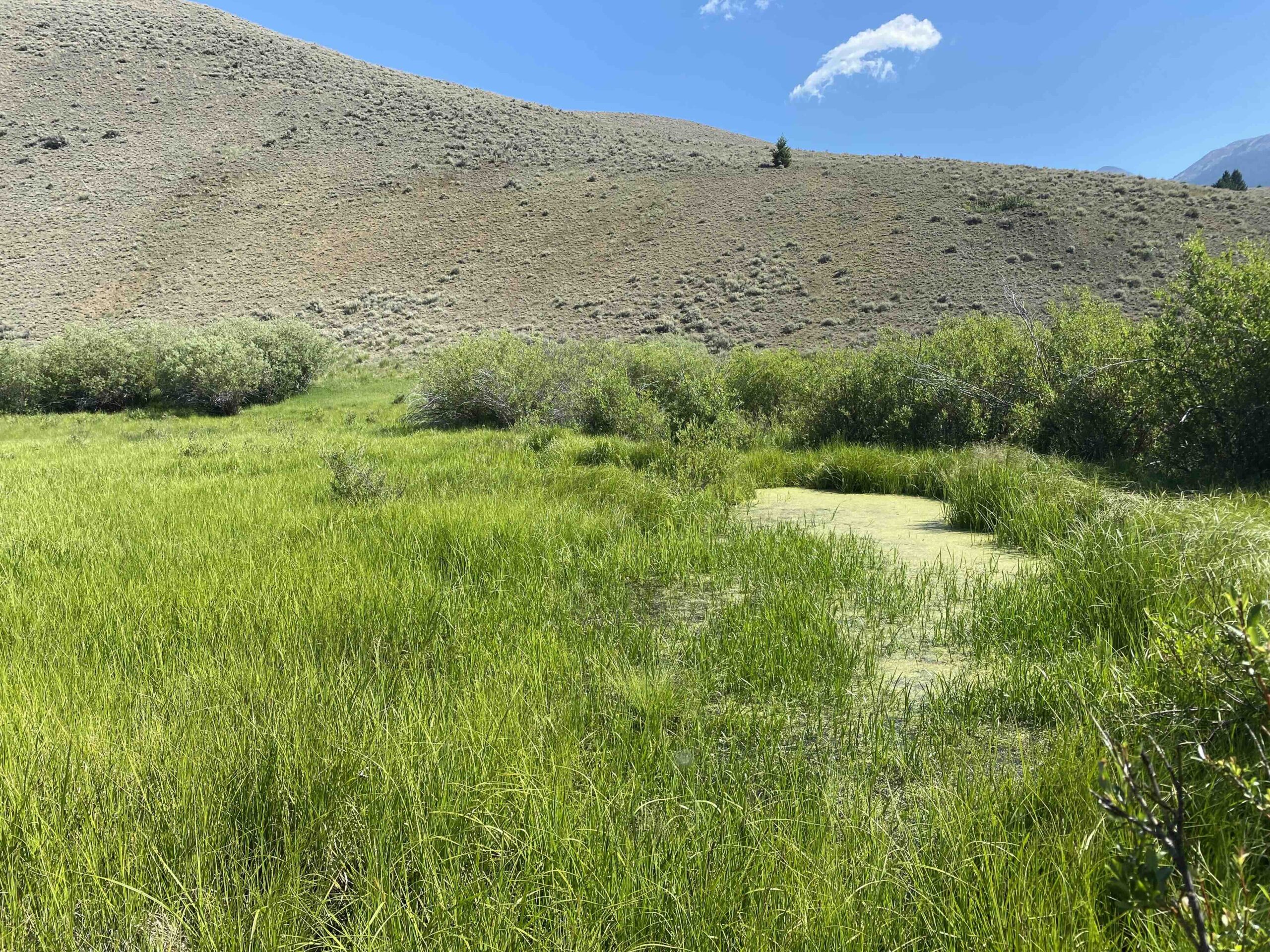 acreage for sale, acreage for sale by owner, acreage for sale in montana, acreage in montana, buy land, buy land in montana, buy land montana, buy montana land, cheap land, cheap land for sale, cheap land for sale in montana, cheap land montana, cheap montana land, cheap off grid land, cheap off grid land for sale, for sale by owner, forsalebyowner, forsalebyowner montana, fsbo, fsbo montana, fsbo real estate, horse property for sale, horse property for sale in montana, hunting land for sale by owner, hunting land for sale in montana, hunting property for sale, hunting property for sale in montana, land for sale by owner, land for sale in Montana, land for sale Montana, land in Montana, land near Mammoth Montana, land on the South Boulder River, lands for sale, landwatch, landwatch montana, montana acreages for sale, montana hunting land for sale, montana land, montana land for sale, montana land for sale by owner, montana mountain land for sale, montana property, Montana property for sale, montana real estate, mountain land for sale, mountain land for sale in montana, mountain properties for sale, mountain property for sale, mountain real estate, off grid land, off grid land for sale, off grid property for sale, off grid real estate, off the grid, property, property for sale by owner, property for sale by owner in montana, property for sale in Montana, property for sale montana, property in Montana, property near Mammoth Montana, property on the South Boulder River, remote properties, remote property for sale, western montana land for sale