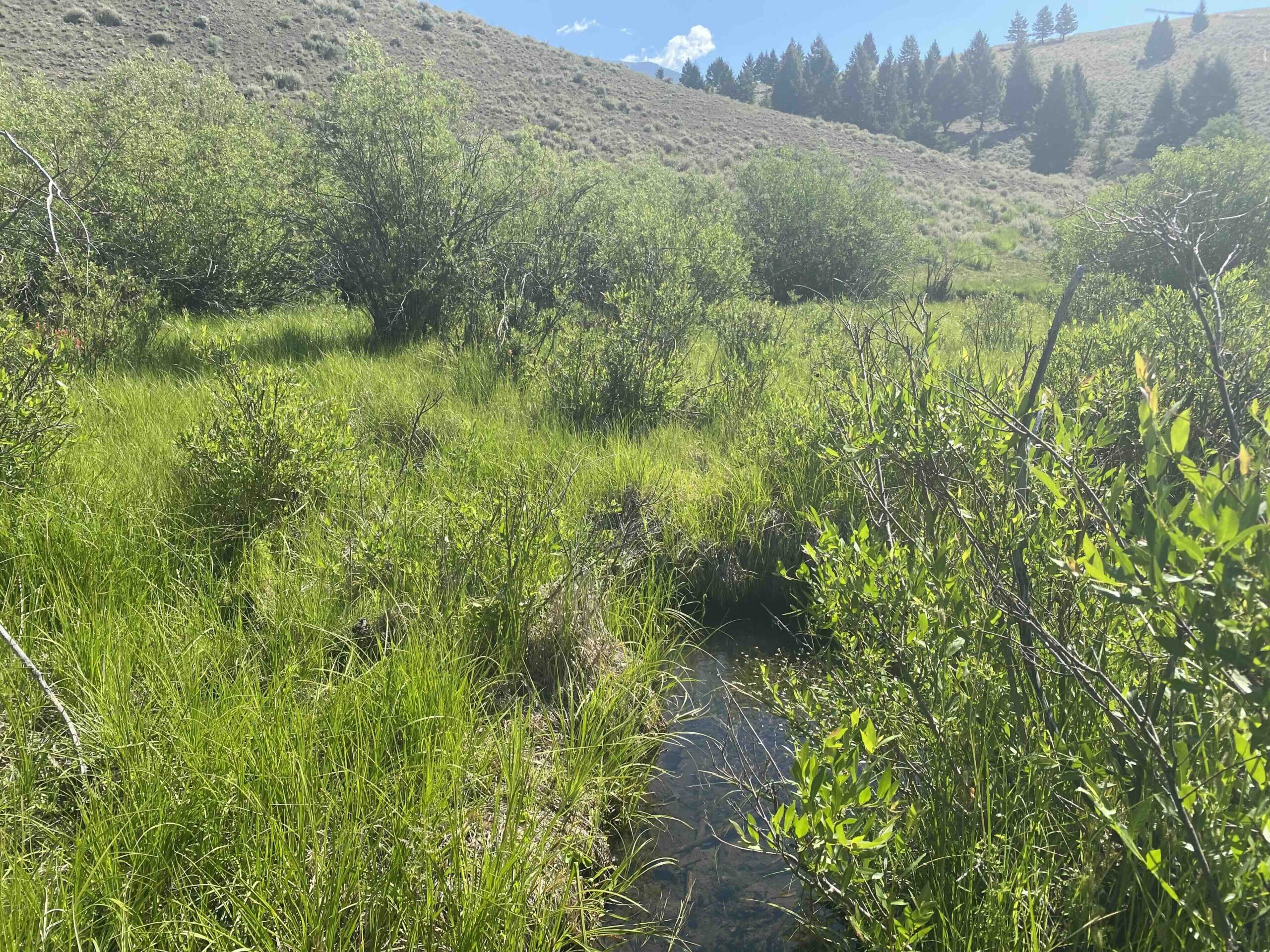 acreage for sale, acreage for sale by owner, acreage for sale in montana, acreage in montana, buy land, buy land in montana, buy land montana, buy montana land, cheap land, cheap land for sale, cheap land for sale in montana, cheap land montana, cheap montana land, cheap off grid land, cheap off grid land for sale, for sale by owner, forsalebyowner, forsalebyowner montana, fsbo, fsbo montana, fsbo real estate, horse property for sale, horse property for sale in montana, hunting land for sale by owner, hunting land for sale in montana, hunting property for sale, hunting property for sale in montana, land for sale by owner, land for sale in Montana, land for sale Montana, land in Montana, land near Mammoth Montana, land on the South Boulder River, lands for sale, landwatch, landwatch montana, montana acreages for sale, montana hunting land for sale, montana land, montana land for sale, montana land for sale by owner, montana mountain land for sale, montana property, Montana property for sale, montana real estate, mountain land for sale, mountain land for sale in montana, mountain properties for sale, mountain property for sale, mountain real estate, off grid land, off grid land for sale, off grid property for sale, off grid real estate, off the grid, property, property for sale by owner, property for sale by owner in montana, property for sale in Montana, property for sale montana, property in Montana, property near Mammoth Montana, property on the South Boulder River, remote properties, remote property for sale, western montana land for sale