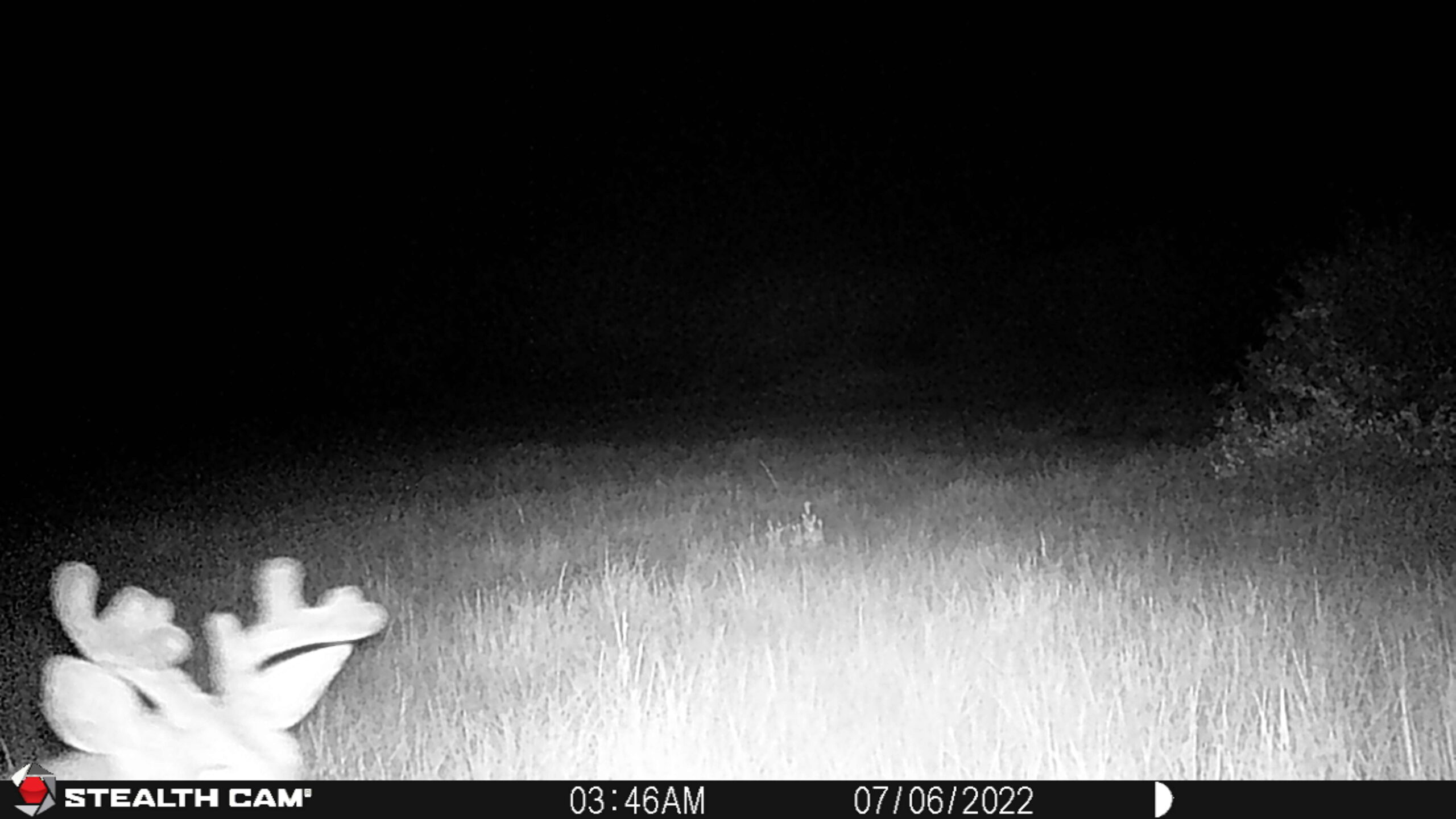 acreage for sale, acreage for sale by owner, acreage for sale in montana, acreage in montana, buy land, buy land in montana, buy land montana, buy montana land, cheap land, cheap land for sale, cheap land for sale in montana, cheap land montana, cheap montana land, cheap off grid land, cheap off grid land for sale, for sale by owner, forsalebyowner, forsalebyowner montana, fsbo, fsbo montana, fsbo real estate, horse property for sale, horse property for sale in montana, hunting land for sale by owner, hunting land for sale in montana, hunting property for sale, hunting property for sale in montana, land for sale by owner, land for sale in Montana, land for sale Montana, land in Montana, land near Mammoth Montana, land on the South Boulder River, lands for sale, landwatch, landwatch montana, montana acreages for sale, montana hunting land for sale, montana land, montana land for sale, montana land for sale by owner, montana mountain land for sale, montana property, Montana property for sale, montana real estate, mountain land for sale, mountain land for sale in montana, mountain properties for sale, mountain property for sale, mountain real estate, off grid land, off grid land for sale, off grid property for sale, off grid real estate, off the grid, property, property for sale by owner, property for sale by owner in montana, property for sale in Montana, property for sale montana, property in Montana, property near Mammoth Montana, property on the South Boulder River, remote properties, remote property for sale, western montana land for sale