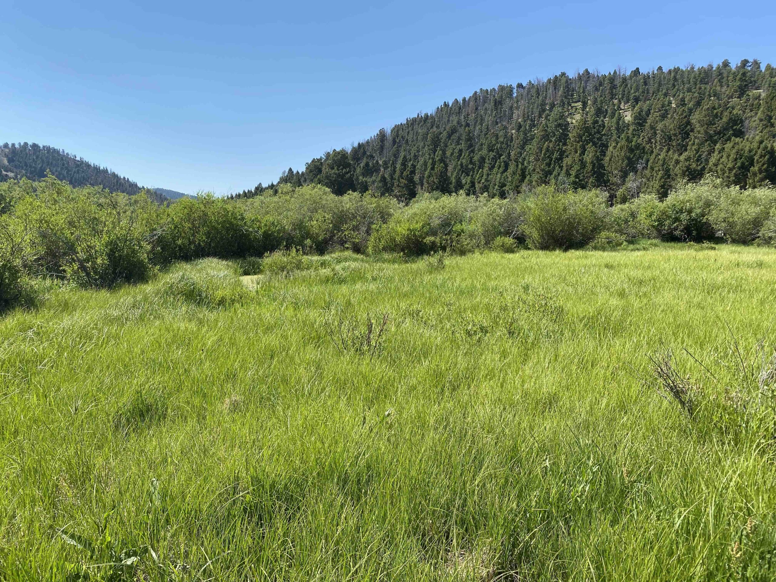 acreage for sale, acreage for sale by owner, acreage for sale in montana, acreage in montana, buy land, buy land in montana, buy land montana, buy montana land, cheap land, cheap land for sale, cheap land for sale in montana, cheap land montana, cheap montana land, cheap off grid land, cheap off grid land for sale, for sale by owner, forsalebyowner, forsalebyowner montana, fsbo, fsbo montana, fsbo real estate, horse property for sale, horse property for sale in montana, hunting land for sale by owner, hunting land for sale in montana, hunting property for sale, hunting property for sale in montana, land for sale by owner, land for sale in Montana, land for sale Montana, land in Montana, land near Mammoth Montana, land on the South Boulder River, lands for sale, landwatch, landwatch montana, montana acreages for sale, montana hunting land for sale, montana land, montana land for sale, montana land for sale by owner, montana mountain land for sale, montana property, Montana property for sale, montana real estate, mountain land for sale, mountain land for sale in montana, mountain properties for sale, mountain property for sale, mountain real estate, off grid land, off grid land for sale, off grid property for sale, off grid real estate, off the grid, property, property for sale by owner, property for sale by owner in montana, property for sale in Montana, property for sale montana, property in Montana, property near Mammoth Montana, property on the South Boulder River, remote properties, remote property for sale, western montana land for sale