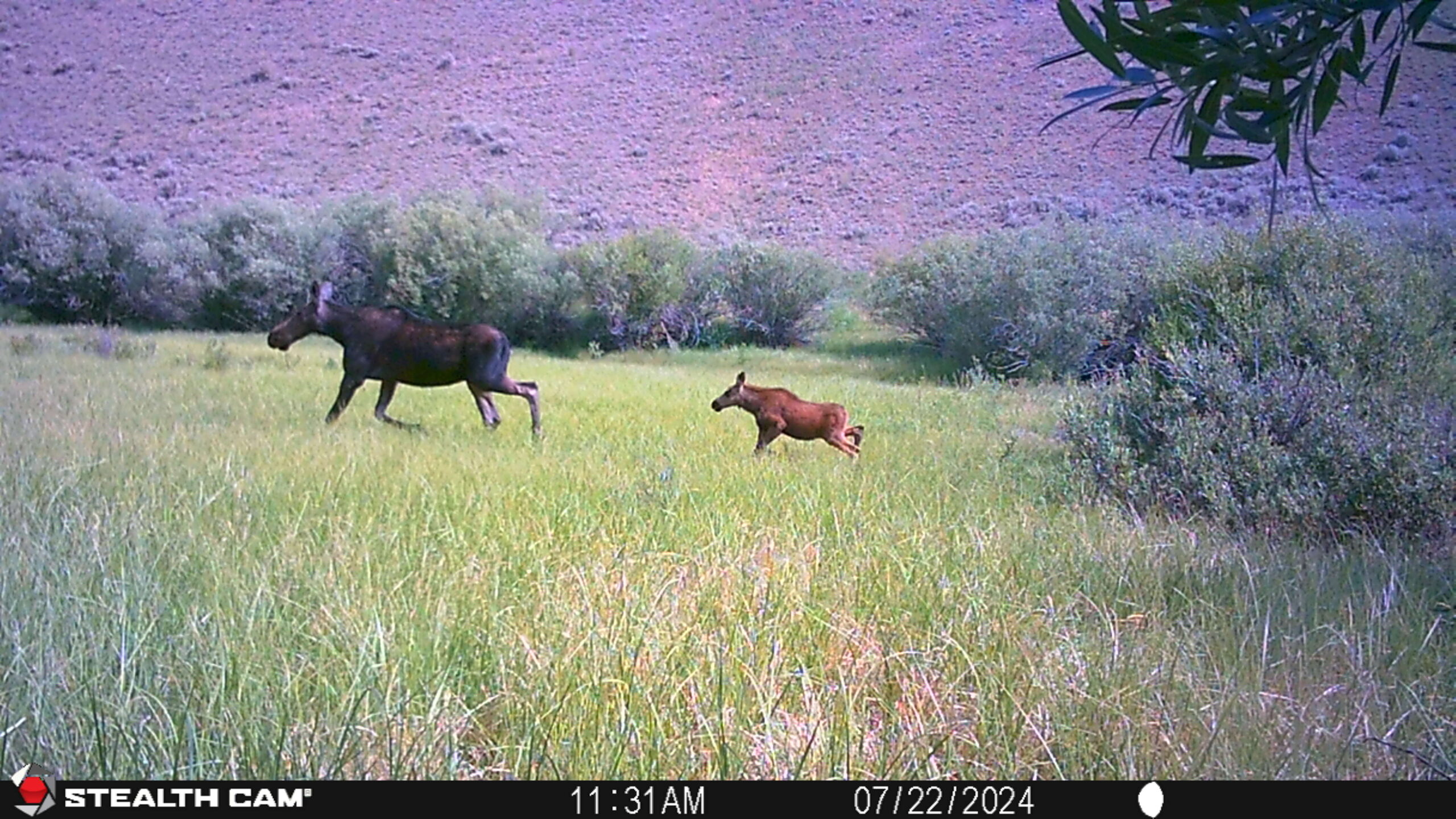 acreage for sale, acreage for sale by owner, acreage for sale in montana, acreage in montana, buy land, buy land in montana, buy land montana, buy montana land, cheap land, cheap land for sale, cheap land for sale in montana, cheap land montana, cheap montana land, cheap off grid land, cheap off grid land for sale, for sale by owner, forsalebyowner, forsalebyowner montana, fsbo, fsbo montana, fsbo real estate, horse property for sale, horse property for sale in montana, hunting land for sale by owner, hunting land for sale in montana, hunting property for sale, hunting property for sale in montana, land for sale by owner, land for sale in Montana, land for sale Montana, land in Montana, land near Mammoth Montana, land on the South Boulder River, lands for sale, landwatch, landwatch montana, montana acreages for sale, montana hunting land for sale, montana land, montana land for sale, montana land for sale by owner, montana mountain land for sale, montana property, Montana property for sale, montana real estate, mountain land for sale, mountain land for sale in montana, mountain properties for sale, mountain property for sale, mountain real estate, off grid land, off grid land for sale, off grid property for sale, off grid real estate, off the grid, property, property for sale by owner, property for sale by owner in montana, property for sale in Montana, property for sale montana, property in Montana, property near Mammoth Montana, property on the South Boulder River, remote properties, remote property for sale, western montana land for sale