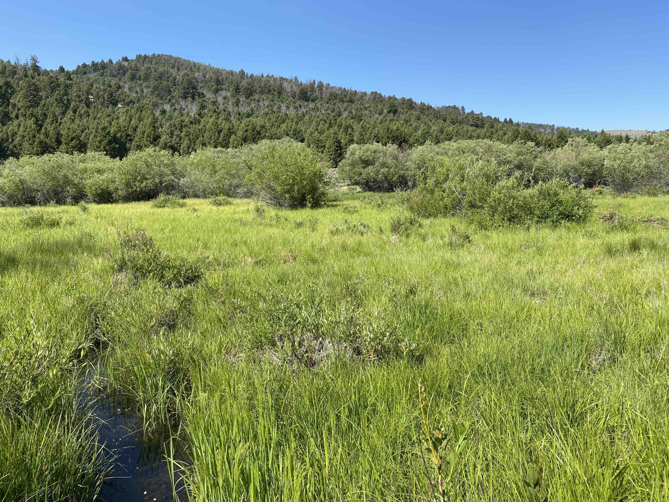 acreage for sale, acreage for sale by owner, acreage for sale in montana, acreage in montana, buy land, buy land in montana, buy land montana, buy montana land, cheap land, cheap land for sale, cheap land for sale in montana, cheap land montana, cheap montana land, cheap off grid land, cheap off grid land for sale, for sale by owner, forsalebyowner, forsalebyowner montana, fsbo, fsbo montana, fsbo real estate, horse property for sale, horse property for sale in montana, hunting land for sale by owner, hunting land for sale in montana, hunting property for sale, hunting property for sale in montana, land for sale by owner, land for sale in Montana, land for sale Montana, land in Montana, land near Mammoth Montana, land on the South Boulder River, lands for sale, landwatch, landwatch montana, montana acreages for sale, montana hunting land for sale, montana land, montana land for sale, montana land for sale by owner, montana mountain land for sale, montana property, Montana property for sale, montana real estate, mountain land for sale, mountain land for sale in montana, mountain properties for sale, mountain property for sale, mountain real estate, off grid land, off grid land for sale, off grid property for sale, off grid real estate, off the grid, property, property for sale by owner, property for sale by owner in montana, property for sale in Montana, property for sale montana, property in Montana, property near Mammoth Montana, property on the South Boulder River, remote properties, remote property for sale, western montana land for sale