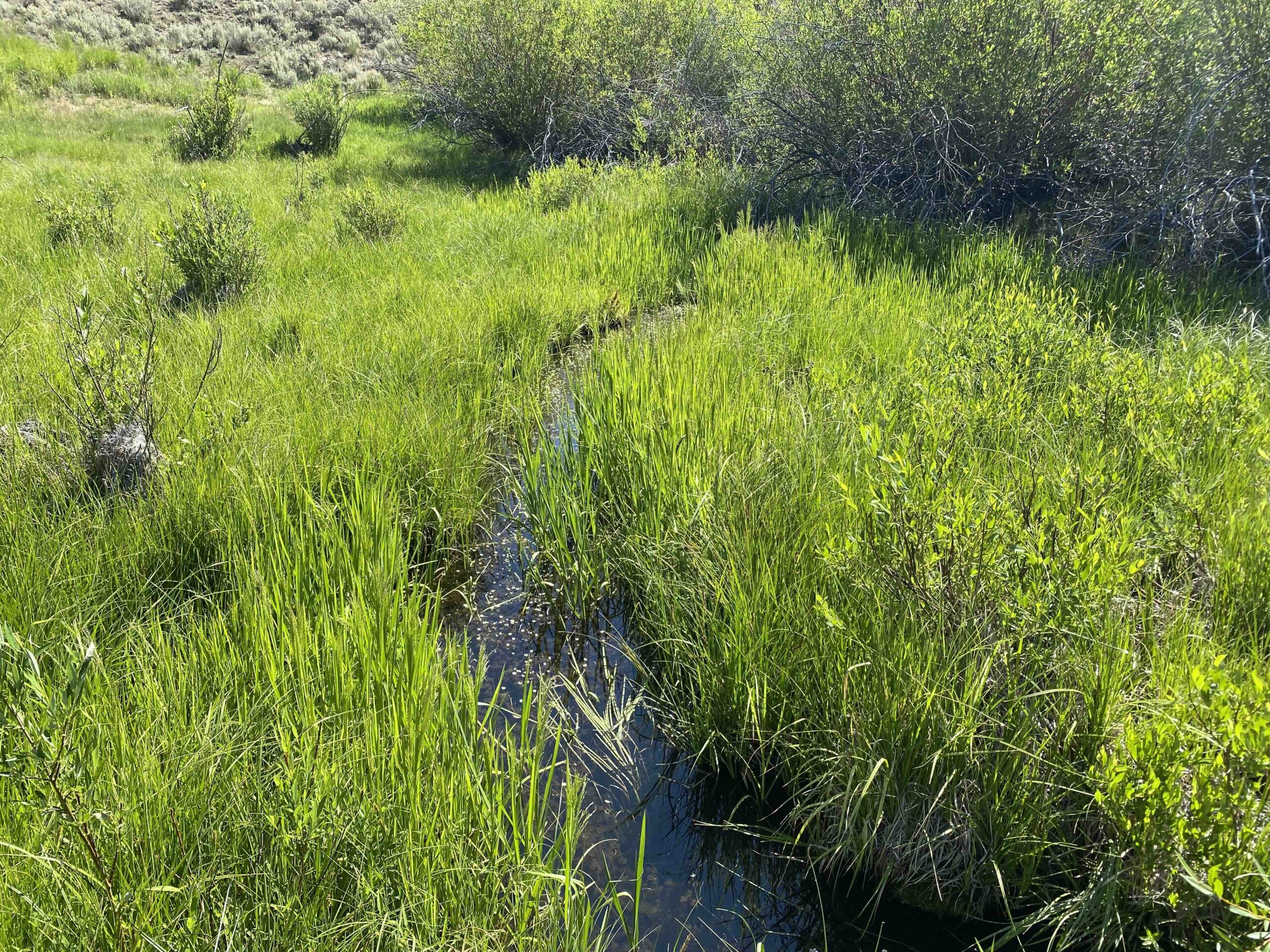 acreage for sale, acreage for sale by owner, acreage for sale in montana, acreage in montana, buy land, buy land in montana, buy land montana, buy montana land, cheap land, cheap land for sale, cheap land for sale in montana, cheap land montana, cheap montana land, cheap off grid land, cheap off grid land for sale, for sale by owner, forsalebyowner, forsalebyowner montana, fsbo, fsbo montana, fsbo real estate, horse property for sale, horse property for sale in montana, hunting land for sale by owner, hunting land for sale in montana, hunting property for sale, hunting property for sale in montana, land for sale by owner, land for sale in Montana, land for sale Montana, land in Montana, land near Mammoth Montana, land on the South Boulder River, lands for sale, landwatch, landwatch montana, montana acreages for sale, montana hunting land for sale, montana land, montana land for sale, montana land for sale by owner, montana mountain land for sale, montana property, Montana property for sale, montana real estate, mountain land for sale, mountain land for sale in montana, mountain properties for sale, mountain property for sale, mountain real estate, off grid land, off grid land for sale, off grid property for sale, off grid real estate, off the grid, property, property for sale by owner, property for sale by owner in montana, property for sale in Montana, property for sale montana, property in Montana, property near Mammoth Montana, property on the South Boulder River, remote properties, remote property for sale, western montana land for sale