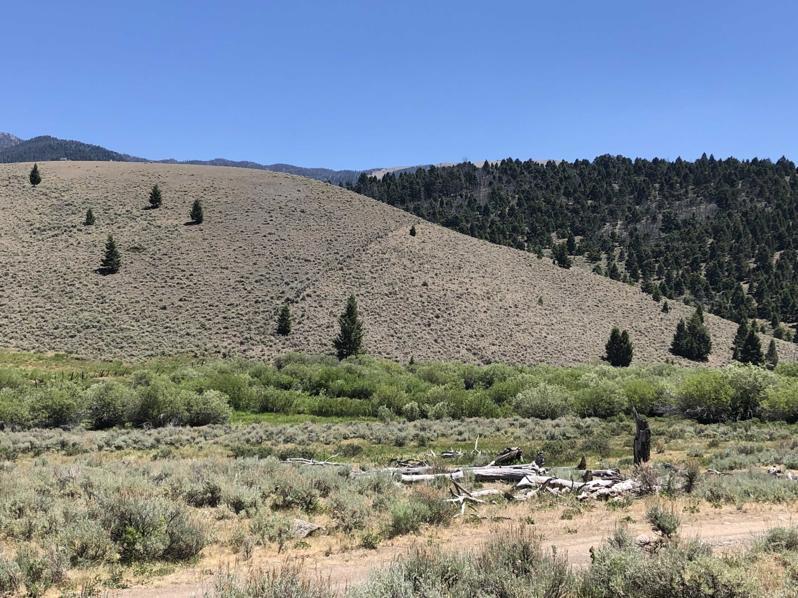 acreage for sale, acreage for sale by owner, acreage for sale in montana, acreage in montana, buy land, buy land in montana, buy land montana, buy montana land, cheap land, cheap land for sale, cheap land for sale in montana, cheap land montana, cheap montana land, cheap off grid land, cheap off grid land for sale, for sale by owner, forsalebyowner, forsalebyowner montana, fsbo, fsbo montana, fsbo real estate, horse property for sale, horse property for sale in montana, hunting land for sale by owner, hunting land for sale in montana, hunting property for sale, hunting property for sale in montana, land for sale by owner, land for sale in Montana, land for sale Montana, land in Montana, land near Mammoth Montana, land on the South Boulder River, lands for sale, landwatch, landwatch montana, montana acreages for sale, montana hunting land for sale, montana land, montana land for sale, montana land for sale by owner, montana mountain land for sale, montana property, Montana property for sale, montana real estate, mountain land for sale, mountain land for sale in montana, mountain properties for sale, mountain property for sale, mountain real estate, off grid land, off grid land for sale, off grid property for sale, off grid real estate, off the grid, property, property for sale by owner, property for sale by owner in montana, property for sale in Montana, property for sale montana, property in Montana, property near Mammoth Montana, property on the South Boulder River, remote properties, remote property for sale, western montana land for sale
