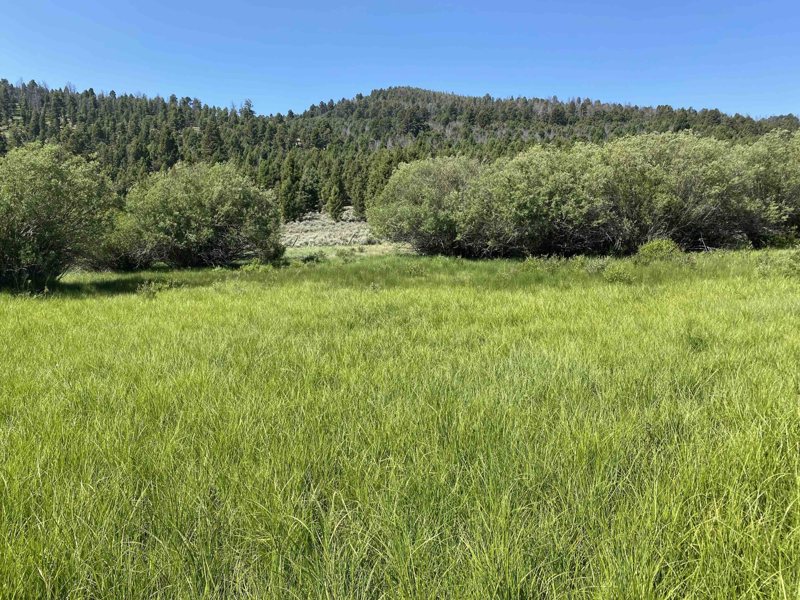 acreage for sale, acreage for sale by owner, acreage for sale in montana, acreage in montana, buy land, buy land in montana, buy land montana, buy montana land, cheap land, cheap land for sale, cheap land for sale in montana, cheap land montana, cheap montana land, cheap off grid land, cheap off grid land for sale, for sale by owner, forsalebyowner, forsalebyowner montana, fsbo, fsbo montana, fsbo real estate, horse property for sale, horse property for sale in montana, hunting land for sale by owner, hunting land for sale in montana, hunting property for sale, hunting property for sale in montana, land for sale by owner, land for sale in Montana, land for sale Montana, land in Montana, land near Mammoth Montana, land on the South Boulder River, lands for sale, landwatch, landwatch montana, montana acreages for sale, montana hunting land for sale, montana land, montana land for sale, montana land for sale by owner, montana mountain land for sale, montana property, Montana property for sale, montana real estate, mountain land for sale, mountain land for sale in montana, mountain properties for sale, mountain property for sale, mountain real estate, off grid land, off grid land for sale, off grid property for sale, off grid real estate, off the grid, property, property for sale by owner, property for sale by owner in montana, property for sale in Montana, property for sale montana, property in Montana, property near Mammoth Montana, property on the South Boulder River, remote properties, remote property for sale, western montana land for sale