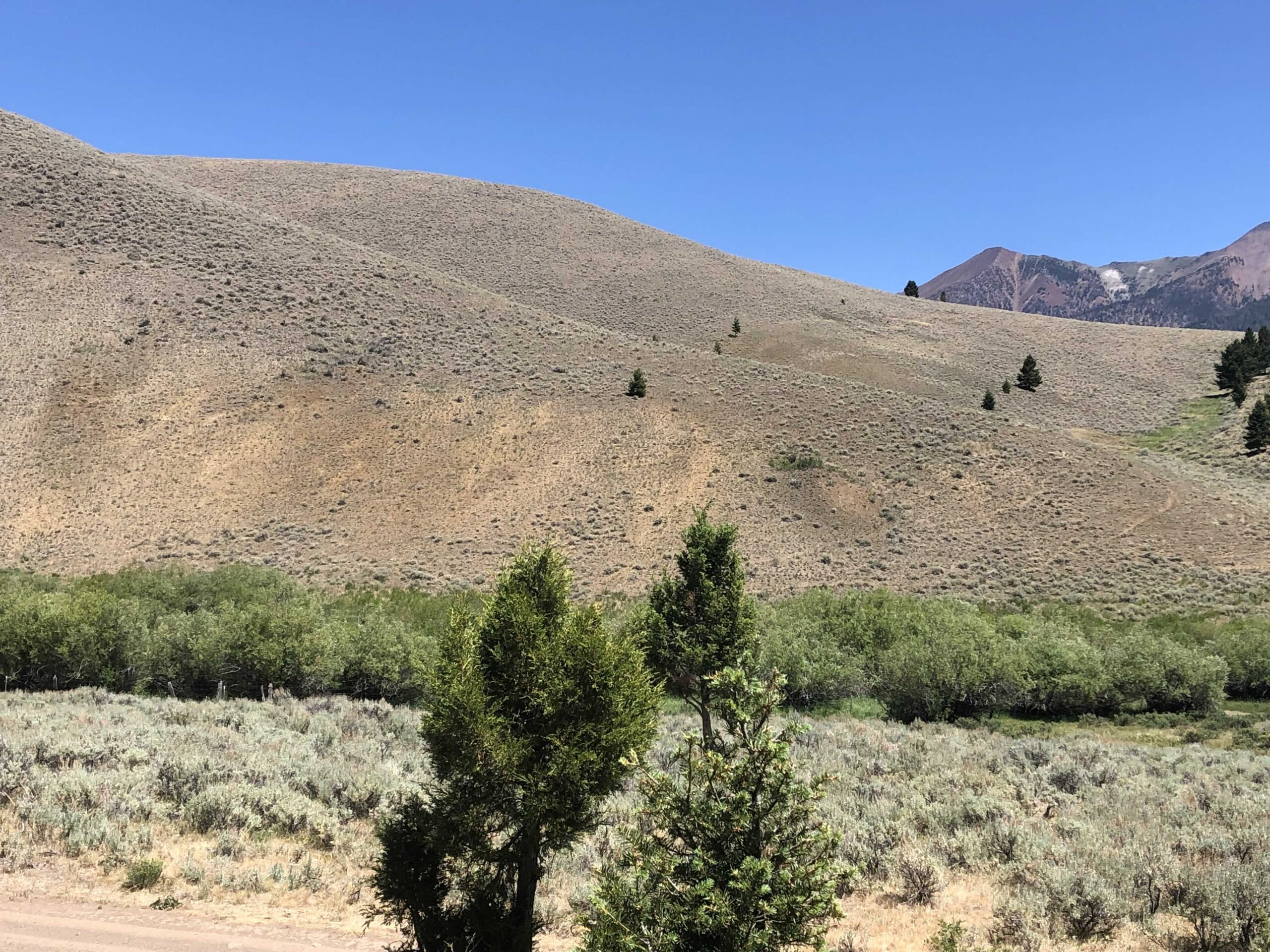 acreage for sale, acreage for sale by owner, acreage for sale in montana, acreage in montana, buy land, buy land in montana, buy land montana, buy montana land, cheap land, cheap land for sale, cheap land for sale in montana, cheap land montana, cheap montana land, cheap off grid land, cheap off grid land for sale, for sale by owner, forsalebyowner, forsalebyowner montana, fsbo, fsbo montana, fsbo real estate, horse property for sale, horse property for sale in montana, hunting land for sale by owner, hunting land for sale in montana, hunting property for sale, hunting property for sale in montana, land for sale by owner, land for sale in Montana, land for sale Montana, land in Montana, land near Mammoth Montana, land on the South Boulder River, lands for sale, landwatch, landwatch montana, montana acreages for sale, montana hunting land for sale, montana land, montana land for sale, montana land for sale by owner, montana mountain land for sale, montana property, Montana property for sale, montana real estate, mountain land for sale, mountain land for sale in montana, mountain properties for sale, mountain property for sale, mountain real estate, off grid land, off grid land for sale, off grid property for sale, off grid real estate, off the grid, property, property for sale by owner, property for sale by owner in montana, property for sale in Montana, property for sale montana, property in Montana, property near Mammoth Montana, property on the South Boulder River, remote properties, remote property for sale, western montana land for sale