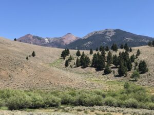 acreage for sale, acreage for sale by owner, acreage for sale in montana, acreage in montana, buy land, buy land in montana, buy land montana, buy montana land, cheap land, cheap land for sale, cheap land for sale in montana, cheap land montana, cheap montana land, cheap off grid land, cheap off grid land for sale, for sale by owner, forsalebyowner, forsalebyowner montana, fsbo, fsbo montana, fsbo real estate, horse property for sale, horse property for sale in montana, hunting land for sale by owner, hunting land for sale in montana, hunting property for sale, hunting property for sale in montana, land for sale by owner, land for sale in Montana, land for sale Montana, land in Montana, land near Mammoth Montana, land on the South Boulder River, lands for sale, landwatch, landwatch montana, montana acreages for sale, montana hunting land for sale, montana land, montana land for sale, montana land for sale by owner, montana mountain land for sale, montana property, Montana property for sale, montana real estate, mountain land for sale, mountain land for sale in montana, mountain properties for sale, mountain property for sale, mountain real estate, off grid land, off grid land for sale, off grid property for sale, off grid real estate, off the grid, property, property for sale by owner, property for sale by owner in montana, property for sale in Montana, property for sale montana, property in Montana, property near Mammoth Montana, property on the South Boulder River, remote properties, remote property for sale, western montana land for sale