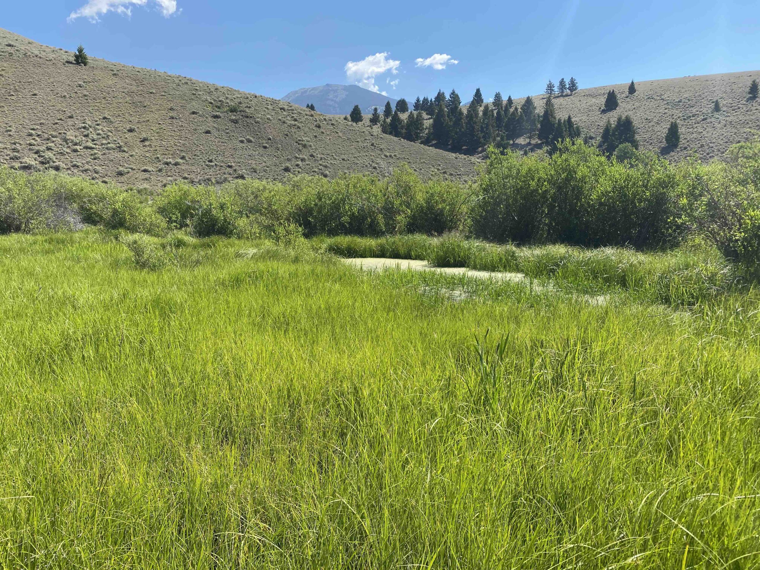acreage for sale, acreage for sale by owner, acreage for sale in montana, acreage in montana, buy land, buy land in montana, buy land montana, buy montana land, cheap land, cheap land for sale, cheap land for sale in montana, cheap land montana, cheap montana land, cheap off grid land, cheap off grid land for sale, for sale by owner, forsalebyowner, forsalebyowner montana, fsbo, fsbo montana, fsbo real estate, horse property for sale, horse property for sale in montana, hunting land for sale by owner, hunting land for sale in montana, hunting property for sale, hunting property for sale in montana, land for sale by owner, land for sale in Montana, land for sale Montana, land in Montana, land near Mammoth Montana, land on the South Boulder River, lands for sale, landwatch, landwatch montana, montana acreages for sale, montana hunting land for sale, montana land, montana land for sale, montana land for sale by owner, montana mountain land for sale, montana property, Montana property for sale, montana real estate, mountain land for sale, mountain land for sale in montana, mountain properties for sale, mountain property for sale, mountain real estate, off grid land, off grid land for sale, off grid property for sale, off grid real estate, off the grid, property, property for sale by owner, property for sale by owner in montana, property for sale in Montana, property for sale montana, property in Montana, property near Mammoth Montana, property on the South Boulder River, remote properties, remote property for sale, western montana land for sale