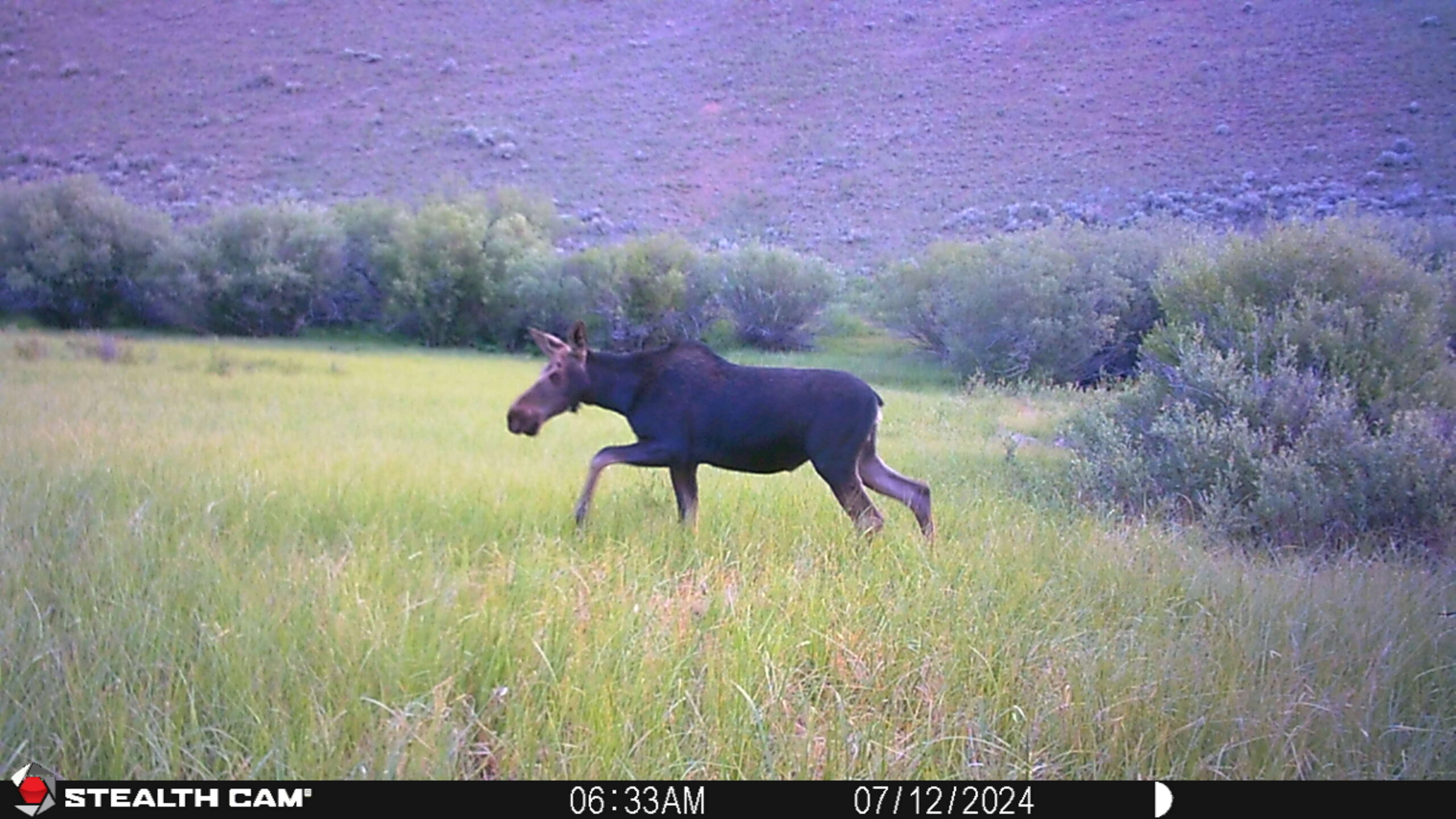 acreage for sale, acreage for sale by owner, acreage for sale in montana, acreage in montana, buy land, buy land in montana, buy land montana, buy montana land, cheap land, cheap land for sale, cheap land for sale in montana, cheap land montana, cheap montana land, cheap off grid land, cheap off grid land for sale, for sale by owner, forsalebyowner, forsalebyowner montana, fsbo, fsbo montana, fsbo real estate, horse property for sale, horse property for sale in montana, hunting land for sale by owner, hunting land for sale in montana, hunting property for sale, hunting property for sale in montana, land for sale by owner, land for sale in Montana, land for sale Montana, land in Montana, land near Mammoth Montana, land on the South Boulder River, lands for sale, landwatch, landwatch montana, montana acreages for sale, montana hunting land for sale, montana land, montana land for sale, montana land for sale by owner, montana mountain land for sale, montana property, Montana property for sale, montana real estate, mountain land for sale, mountain land for sale in montana, mountain properties for sale, mountain property for sale, mountain real estate, off grid land, off grid land for sale, off grid property for sale, off grid real estate, off the grid, property, property for sale by owner, property for sale by owner in montana, property for sale in Montana, property for sale montana, property in Montana, property near Mammoth Montana, property on the South Boulder River, remote properties, remote property for sale, western montana land for sale
