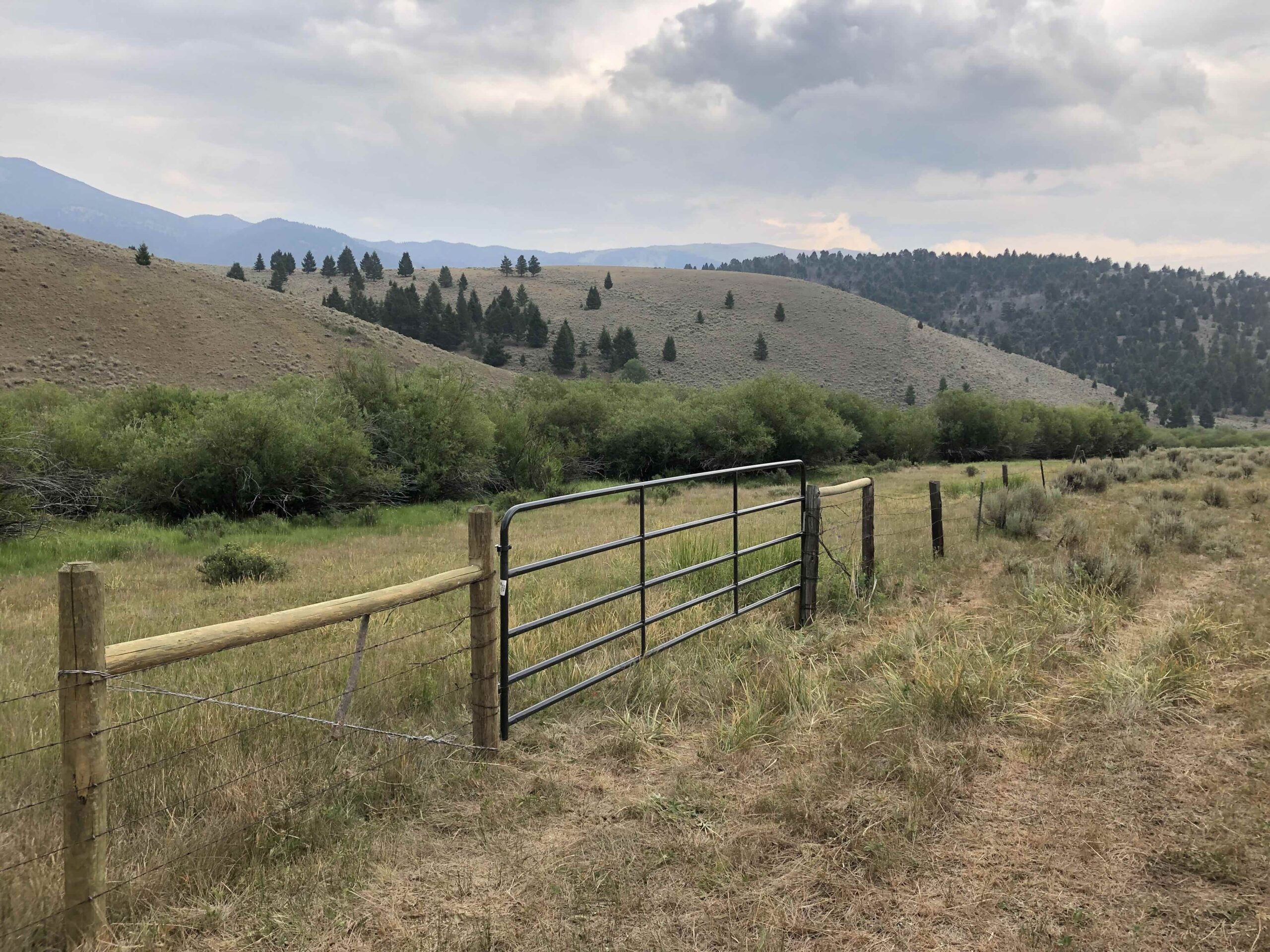 acreage for sale, acreage for sale by owner, acreage for sale in montana, acreage in montana, buy land, buy land in montana, buy land montana, buy montana land, cheap land, cheap land for sale, cheap land for sale in montana, cheap land montana, cheap montana land, cheap off grid land, cheap off grid land for sale, for sale by owner, forsalebyowner, forsalebyowner montana, fsbo, fsbo montana, fsbo real estate, horse property for sale, horse property for sale in montana, hunting land for sale by owner, hunting land for sale in montana, hunting property for sale, hunting property for sale in montana, land for sale by owner, land for sale in Montana, land for sale Montana, land in Montana, land near Mammoth Montana, land on the South Boulder River, lands for sale, landwatch, landwatch montana, montana acreages for sale, montana hunting land for sale, montana land, montana land for sale, montana land for sale by owner, montana mountain land for sale, montana property, Montana property for sale, montana real estate, mountain land for sale, mountain land for sale in montana, mountain properties for sale, mountain property for sale, mountain real estate, off grid land, off grid land for sale, off grid property for sale, off grid real estate, off the grid, property, property for sale by owner, property for sale by owner in montana, property for sale in Montana, property for sale montana, property in Montana, property near Mammoth Montana, property on the South Boulder River, remote properties, remote property for sale, western montana land for sale