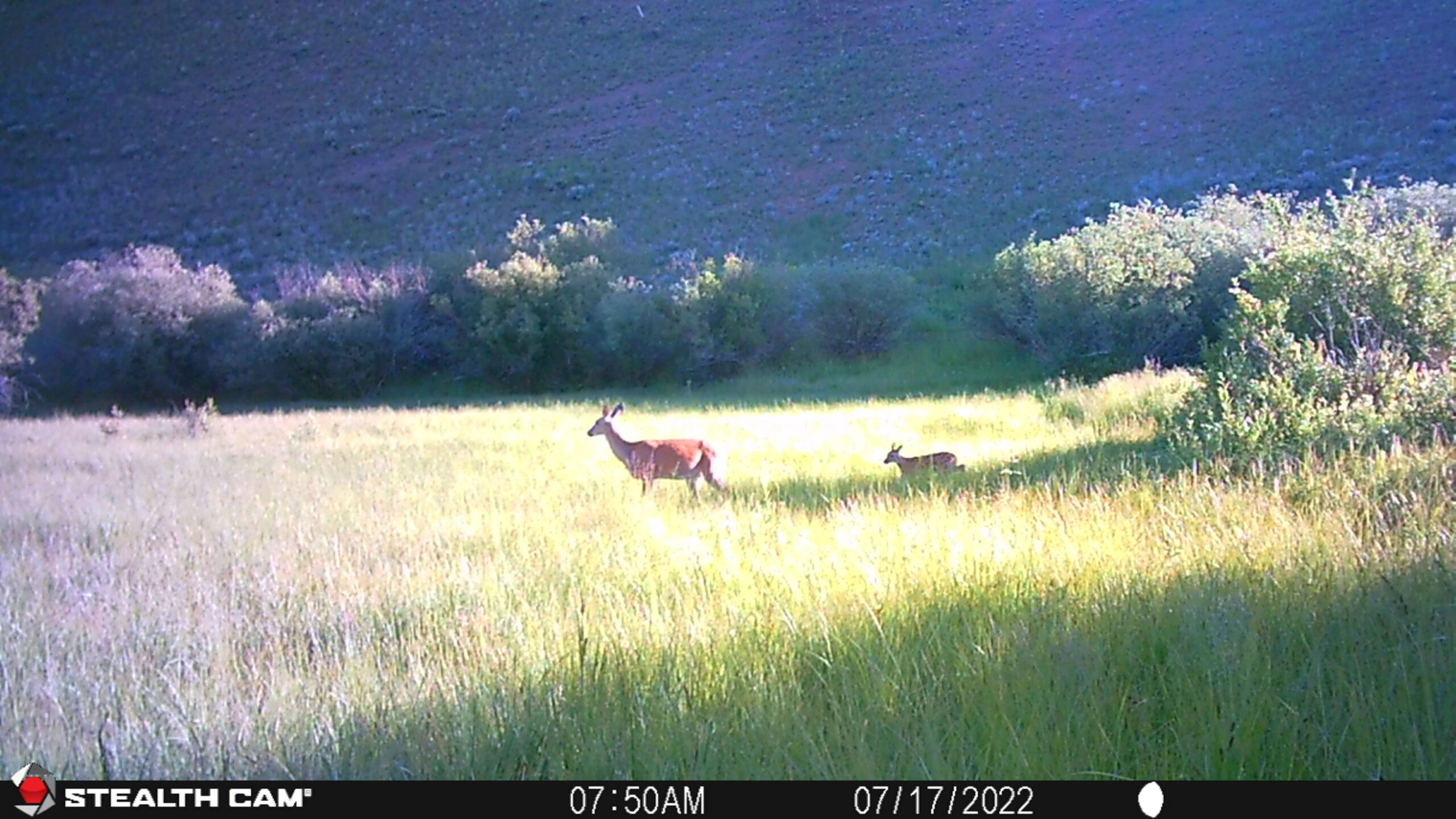 acreage for sale, acreage for sale by owner, acreage for sale in montana, acreage in montana, buy land, buy land in montana, buy land montana, buy montana land, cheap land, cheap land for sale, cheap land for sale in montana, cheap land montana, cheap montana land, cheap off grid land, cheap off grid land for sale, for sale by owner, forsalebyowner, forsalebyowner montana, fsbo, fsbo montana, fsbo real estate, horse property for sale, horse property for sale in montana, hunting land for sale by owner, hunting land for sale in montana, hunting property for sale, hunting property for sale in montana, land for sale by owner, land for sale in Montana, land for sale Montana, land in Montana, land near Mammoth Montana, land on the South Boulder River, lands for sale, landwatch, landwatch montana, montana acreages for sale, montana hunting land for sale, montana land, montana land for sale, montana land for sale by owner, montana mountain land for sale, montana property, Montana property for sale, montana real estate, mountain land for sale, mountain land for sale in montana, mountain properties for sale, mountain property for sale, mountain real estate, off grid land, off grid land for sale, off grid property for sale, off grid real estate, off the grid, property, property for sale by owner, property for sale by owner in montana, property for sale in Montana, property for sale montana, property in Montana, property near Mammoth Montana, property on the South Boulder River, remote properties, remote property for sale, western montana land for sale