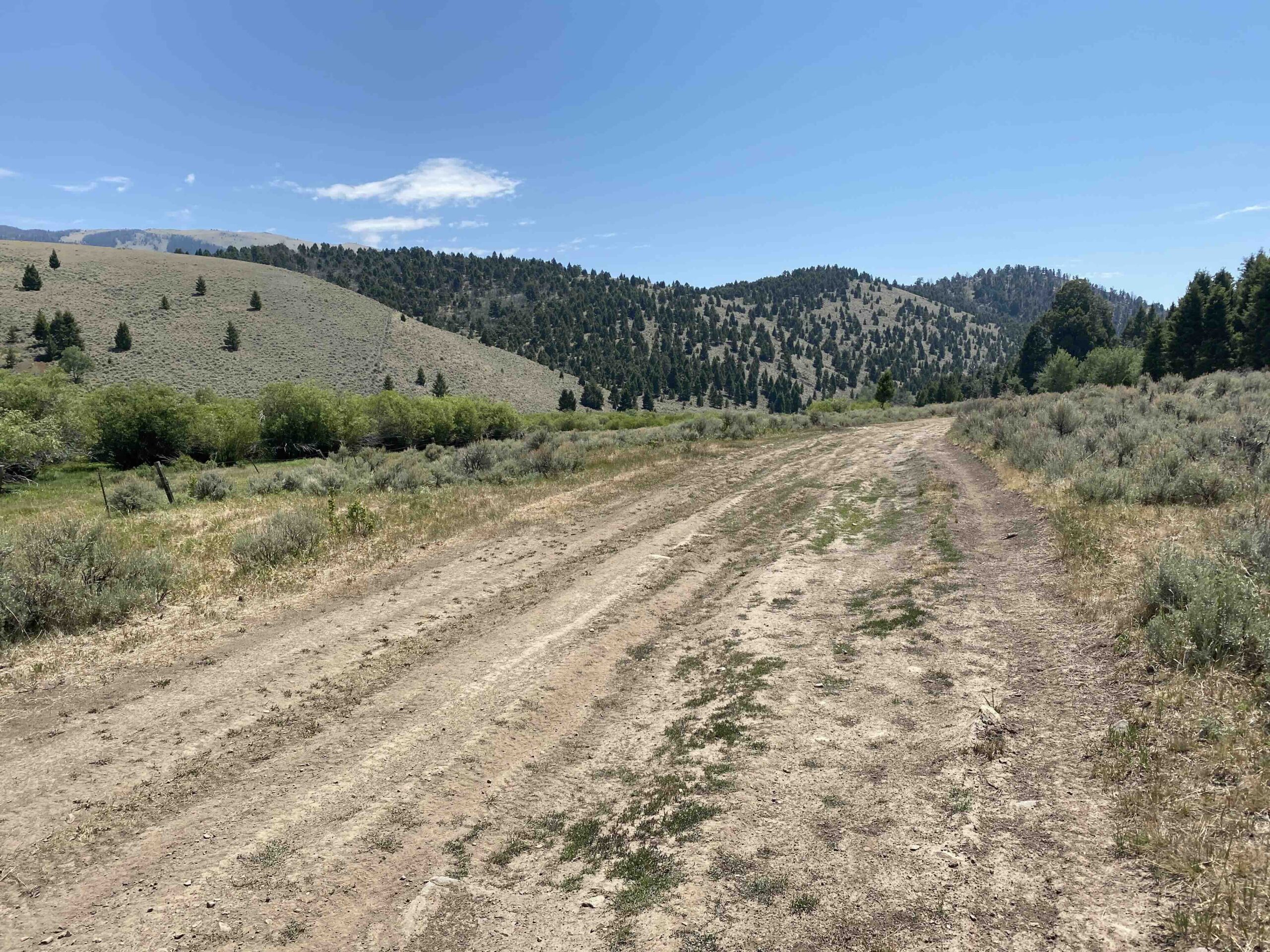 acreage for sale, acreage for sale by owner, acreage for sale in montana, acreage in montana, buy land, buy land in montana, buy land montana, buy montana land, cheap land, cheap land for sale, cheap land for sale in montana, cheap land montana, cheap montana land, cheap off grid land, cheap off grid land for sale, for sale by owner, forsalebyowner, forsalebyowner montana, fsbo, fsbo montana, fsbo real estate, horse property for sale, horse property for sale in montana, hunting land for sale by owner, hunting land for sale in montana, hunting property for sale, hunting property for sale in montana, land for sale by owner, land for sale in Montana, land for sale Montana, land in Montana, land near Mammoth Montana, land on the South Boulder River, lands for sale, landwatch, landwatch montana, montana acreages for sale, montana hunting land for sale, montana land, montana land for sale, montana land for sale by owner, montana mountain land for sale, montana property, Montana property for sale, montana real estate, mountain land for sale, mountain land for sale in montana, mountain properties for sale, mountain property for sale, mountain real estate, off grid land, off grid land for sale, off grid property for sale, off grid real estate, off the grid, property, property for sale by owner, property for sale by owner in montana, property for sale in Montana, property for sale montana, property in Montana, property near Mammoth Montana, property on the South Boulder River, remote properties, remote property for sale, western montana land for sale