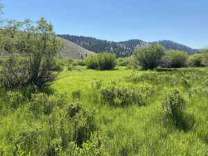 acreage for sale, acreage for sale by owner, acreage for sale in montana, acreage in montana, buy land, buy land in montana, buy land montana, buy montana land, cheap land, cheap land for sale, cheap land for sale in montana, cheap land montana, cheap montana land, cheap off grid land, cheap off grid land for sale, for sale by owner, forsalebyowner, forsalebyowner montana, fsbo, fsbo montana, fsbo real estate, horse property for sale, horse property for sale in montana, hunting land for sale by owner, hunting land for sale in montana, hunting property for sale, hunting property for sale in montana, land for sale by owner, land for sale in Montana, land for sale Montana, land in Montana, land near Mammoth Montana, land on the South Boulder River, lands for sale, landwatch, landwatch montana, montana acreages for sale, montana hunting land for sale, montana land, montana land for sale, montana land for sale by owner, montana mountain land for sale, montana property, Montana property for sale, montana real estate, mountain land for sale, mountain land for sale in montana, mountain properties for sale, mountain property for sale, mountain real estate, off grid land, off grid land for sale, off grid property for sale, off grid real estate, off the grid, property, property for sale by owner, property for sale by owner in montana, property for sale in Montana, property for sale montana, property in Montana, property near Mammoth Montana, property on the South Boulder River, remote properties, remote property for sale, western montana land for sale