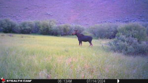 acreage for sale, acreage for sale by owner, acreage for sale in montana, acreage in montana, buy land, buy land in montana, buy land montana, buy montana land, cheap land, cheap land for sale, cheap land for sale in montana, cheap land montana, cheap montana land, cheap off grid land, cheap off grid land for sale, for sale by owner, forsalebyowner, forsalebyowner montana, fsbo, fsbo montana, fsbo real estate, horse property for sale, horse property for sale in montana, hunting land for sale by owner, hunting land for sale in montana, hunting property for sale, hunting property for sale in montana, land for sale by owner, land for sale in Montana, land for sale Montana, land in Montana, land near Mammoth Montana, land on the South Boulder River, lands for sale, landwatch, landwatch montana, montana acreages for sale, montana hunting land for sale, montana land, montana land for sale, montana land for sale by owner, montana mountain land for sale, montana property, Montana property for sale, montana real estate, mountain land for sale, mountain land for sale in montana, mountain properties for sale, mountain property for sale, mountain real estate, off grid land, off grid land for sale, off grid property for sale, off grid real estate, off the grid, property, property for sale by owner, property for sale by owner in montana, property for sale in Montana, property for sale montana, property in Montana, property near Mammoth Montana, property on the South Boulder River, remote properties, remote property for sale, western montana land for sale