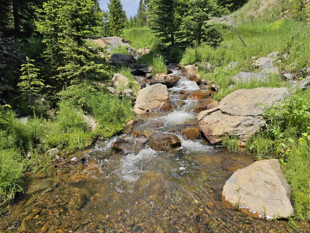 acreage for sale, acreage for sale by owner, acreage for sale in montana, acreage in montana, buy land, buy land in montana, buy land montana, buy montana land, cheap land, cheap land for sale, cheap land for sale in montana, cheap land montana, cheap montana land, cheap off grid land, cheap off grid land for sale, for sale by owner, forsalebyowner, forsalebyowner montana, fsbo, fsbo montana, fsbo real estate, horse property for sale, horse property for sale in montana, hunting land for sale by owner, hunting land for sale in montana, hunting property for sale, hunting property for sale in montana, land for sale by owner, land for sale in Montana, land for sale Montana, land in Montana, lands for sale, landwatch, landwatch montana, montana acreages for sale, montana hunting land for sale, montana land, montana land for sale, montana land for sale by owner, montana mountain land for sale, montana property, Montana property for sale, montana real estate, mountain land for sale, mountain land for sale in montana, mountain properties for sale, mountain property for sale, mountain real estate, off grid land, off grid land for sale, off grid property for sale, off grid real estate, off the grid, property, property for sale by owner, property for sale by owner in montana, property for sale in Montana, property for sale montana, property in Montana, remote properties, remote property for sale, western montana land for sale