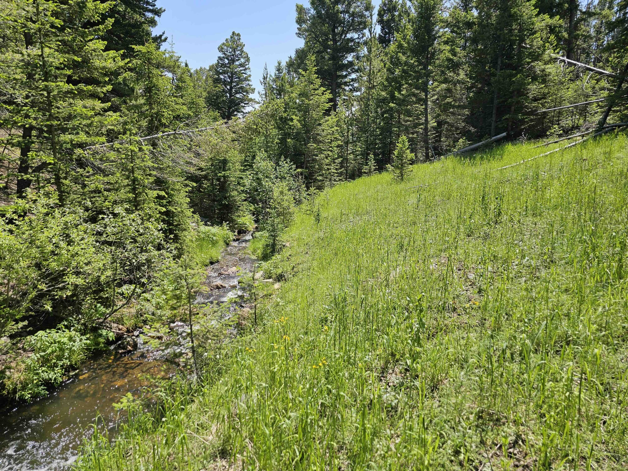 acreage for sale, acreage for sale by owner, acreage for sale in montana, acreage in montana, buy land, buy land in montana, buy land montana, buy montana land, cheap land, cheap land for sale, cheap land for sale in montana, cheap land montana, cheap montana land, cheap off grid land, cheap off grid land for sale, for sale by owner, forsalebyowner, forsalebyowner montana, fsbo, fsbo montana, fsbo real estate, horse property for sale, horse property for sale in montana, hunting land for sale by owner, hunting land for sale in montana, hunting property for sale, hunting property for sale in montana, land for sale by owner, land for sale in Montana, land for sale Montana, land in Montana, lands for sale, landwatch, landwatch montana, montana acreages for sale, montana hunting land for sale, montana land, montana land for sale, montana land for sale by owner, montana mountain land for sale, montana property, Montana property for sale, montana real estate, mountain land for sale, mountain land for sale in montana, mountain properties for sale, mountain property for sale, mountain real estate, off grid land, off grid land for sale, off grid property for sale, off grid real estate, off the grid, property, property for sale by owner, property for sale by owner in montana, property for sale in Montana, property for sale montana, property in Montana, remote properties, remote property for sale, western montana land for sale