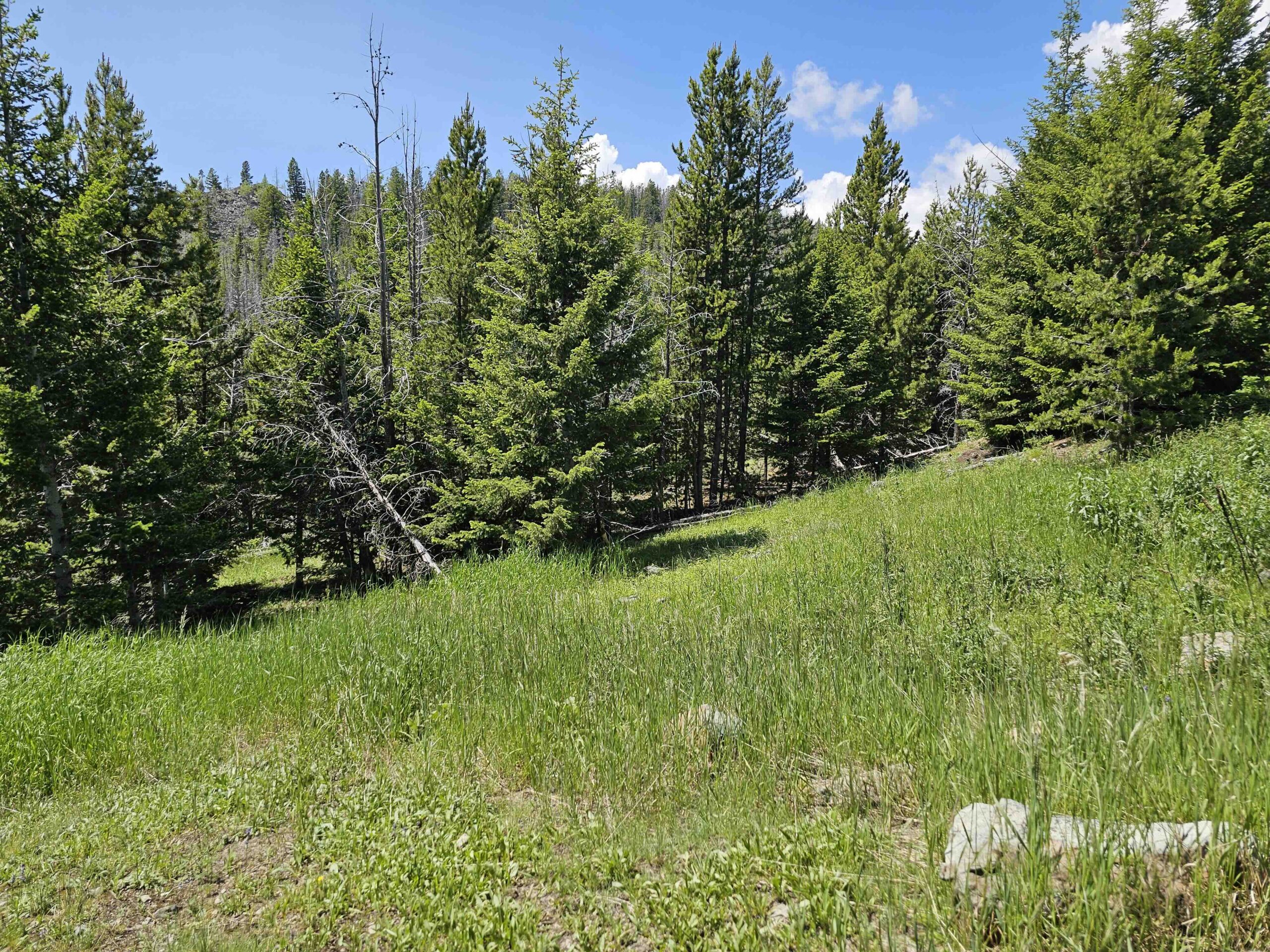 acreage for sale, acreage for sale by owner, acreage for sale in montana, acreage in montana, buy land, buy land in montana, buy land montana, buy montana land, cheap land, cheap land for sale, cheap land for sale in montana, cheap land montana, cheap montana land, cheap off grid land, cheap off grid land for sale, for sale by owner, forsalebyowner, forsalebyowner montana, fsbo, fsbo montana, fsbo real estate, horse property for sale, horse property for sale in montana, hunting land for sale by owner, hunting land for sale in montana, hunting property for sale, hunting property for sale in montana, land for sale by owner, land for sale in Montana, land for sale Montana, land in Montana, lands for sale, landwatch, landwatch montana, montana acreages for sale, montana hunting land for sale, montana land, montana land for sale, montana land for sale by owner, montana mountain land for sale, montana property, Montana property for sale, montana real estate, mountain land for sale, mountain land for sale in montana, mountain properties for sale, mountain property for sale, mountain real estate, off grid land, off grid land for sale, off grid property for sale, off grid real estate, off the grid, property, property for sale by owner, property for sale by owner in montana, property for sale in Montana, property for sale montana, property in Montana, remote properties, remote property for sale, western montana land for sale