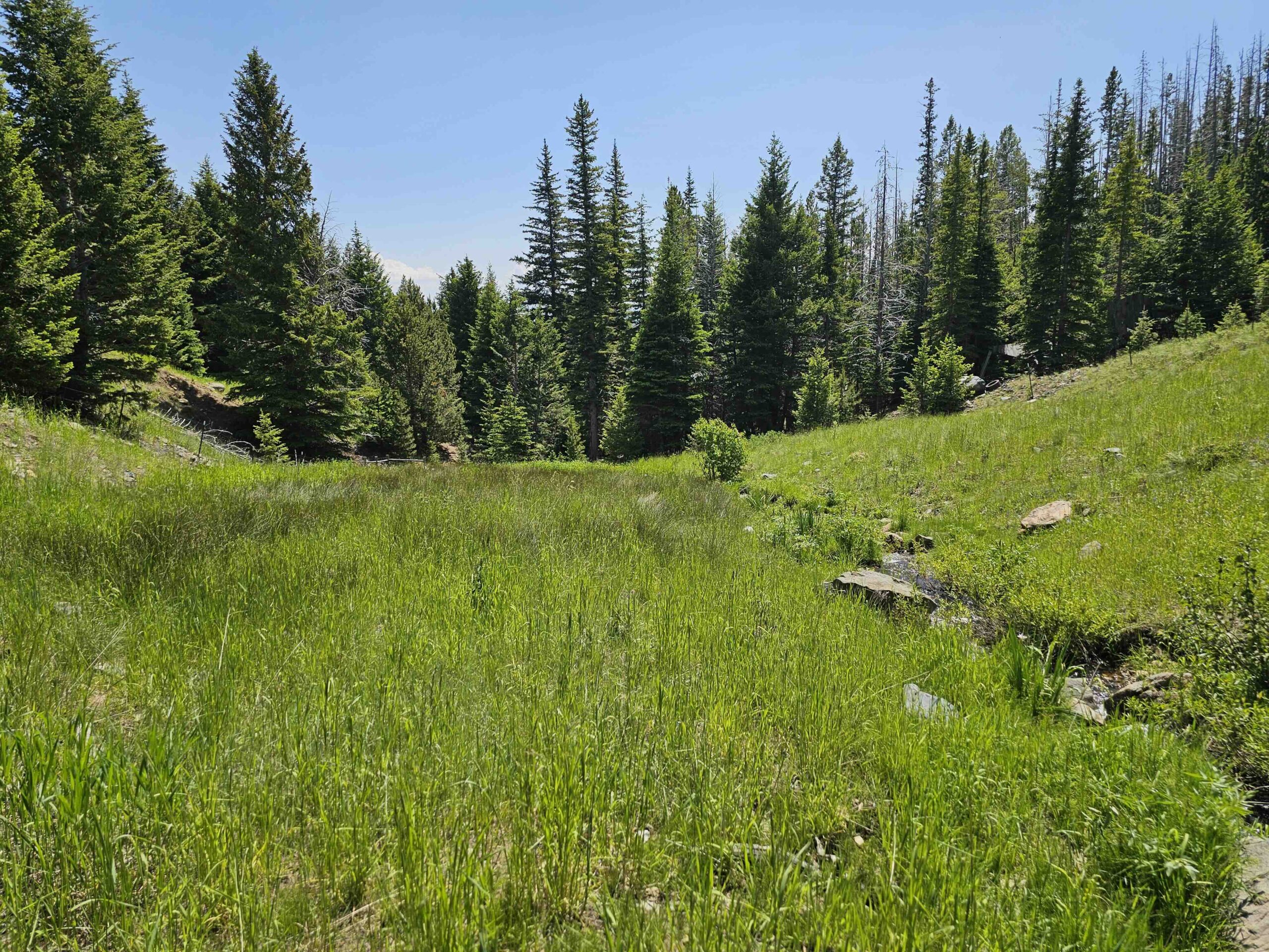 acreage for sale, acreage for sale by owner, acreage for sale in montana, acreage in montana, buy land, buy land in montana, buy land montana, buy montana land, cheap land, cheap land for sale, cheap land for sale in montana, cheap land montana, cheap montana land, cheap off grid land, cheap off grid land for sale, for sale by owner, forsalebyowner, forsalebyowner montana, fsbo, fsbo montana, fsbo real estate, horse property for sale, horse property for sale in montana, hunting land for sale by owner, hunting land for sale in montana, hunting property for sale, hunting property for sale in montana, land for sale by owner, land for sale in Montana, land for sale Montana, land in Montana, lands for sale, landwatch, landwatch montana, montana acreages for sale, montana hunting land for sale, montana land, montana land for sale, montana land for sale by owner, montana mountain land for sale, montana property, Montana property for sale, montana real estate, mountain land for sale, mountain land for sale in montana, mountain properties for sale, mountain property for sale, mountain real estate, off grid land, off grid land for sale, off grid property for sale, off grid real estate, off the grid, property, property for sale by owner, property for sale by owner in montana, property for sale in Montana, property for sale montana, property in Montana, remote properties, remote property for sale, western montana land for sale
