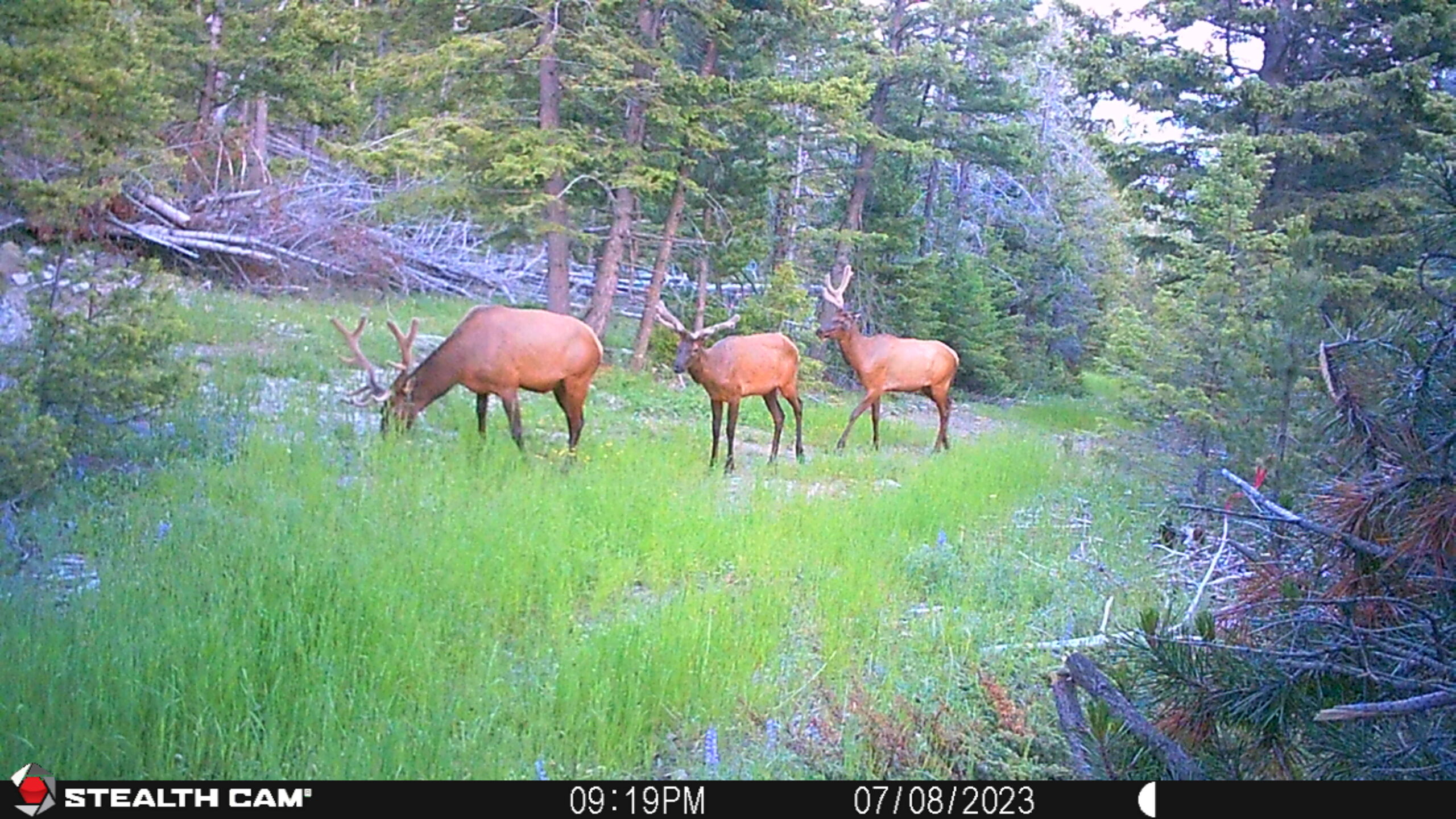 acreage for sale, acreage for sale by owner, acreage for sale in montana, acreage in montana, buy land, buy land in montana, buy land montana, buy montana land, cheap land, cheap land for sale, cheap land for sale in montana, cheap land montana, cheap montana land, cheap off grid land, cheap off grid land for sale, for sale by owner, forsalebyowner, forsalebyowner montana, fsbo, fsbo montana, fsbo real estate, horse property for sale, horse property for sale in montana, hunting land for sale by owner, hunting land for sale in montana, hunting property for sale, hunting property for sale in montana, land for sale by owner, land for sale in Montana, land for sale Montana, land in Montana, lands for sale, landwatch, landwatch montana, montana acreages for sale, montana hunting land for sale, montana land, montana land for sale, montana land for sale by owner, montana mountain land for sale, montana property, Montana property for sale, montana real estate, mountain land for sale, mountain land for sale in montana, mountain properties for sale, mountain property for sale, mountain real estate, off grid land, off grid land for sale, off grid property for sale, off grid real estate, off the grid, property, property for sale by owner, property for sale by owner in montana, property for sale in Montana, property for sale montana, property in Montana, remote properties, remote property for sale, western montana land for sale