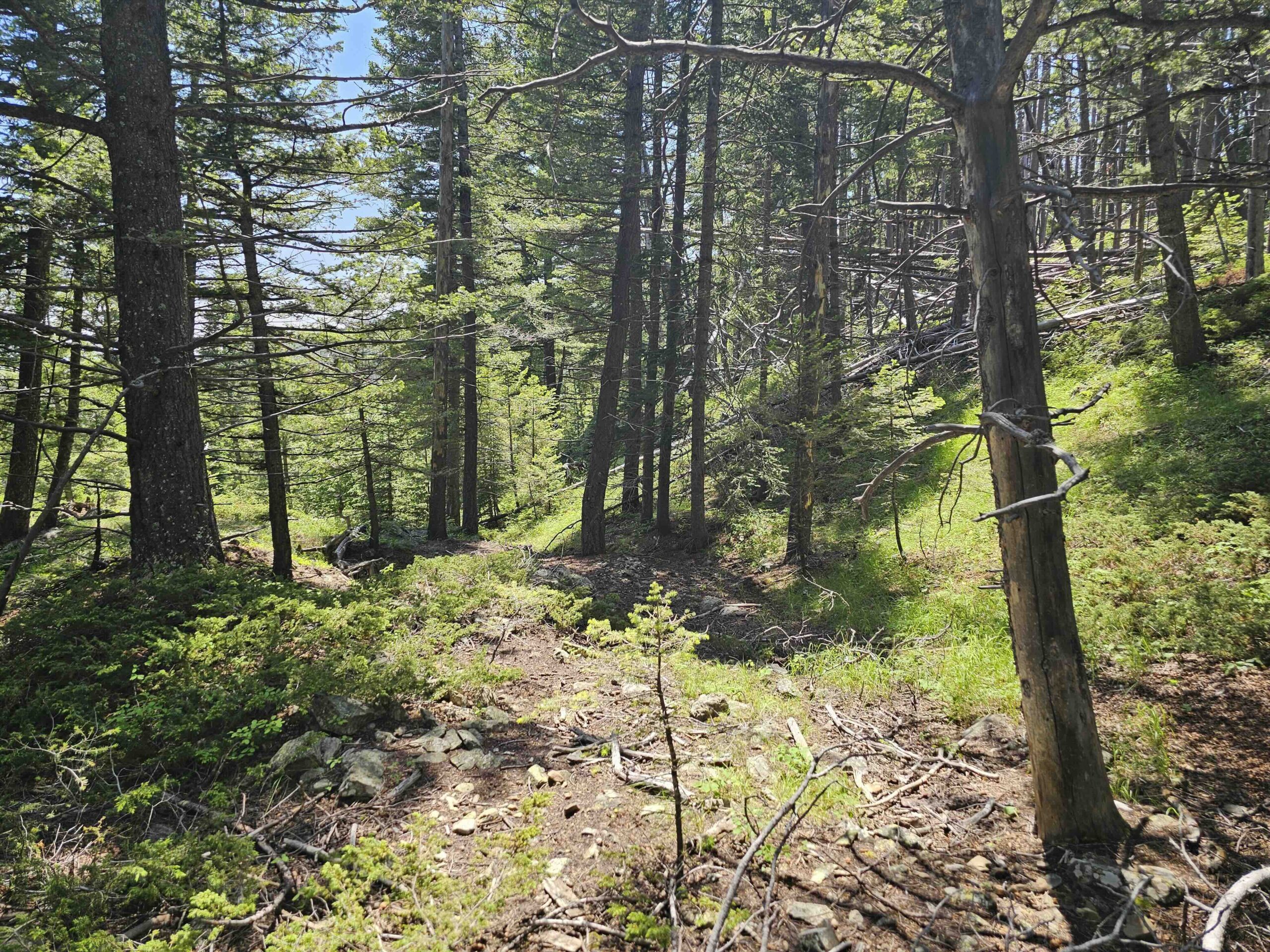 acreage for sale, acreage for sale by owner, acreage for sale in montana, acreage in montana, buy land, buy land in montana, buy land montana, buy montana land, cheap land, cheap land for sale, cheap land for sale in montana, cheap land montana, cheap montana land, cheap off grid land, cheap off grid land for sale, for sale by owner, forsalebyowner, forsalebyowner montana, fsbo, fsbo montana, fsbo real estate, horse property for sale, horse property for sale in montana, hunting land for sale by owner, hunting land for sale in montana, hunting property for sale, hunting property for sale in montana, land for sale by owner, land for sale in Montana, land for sale Montana, land in Montana, lands for sale, landwatch, landwatch montana, montana acreages for sale, montana hunting land for sale, montana land, montana land for sale, montana land for sale by owner, montana mountain land for sale, montana property, Montana property for sale, montana real estate, mountain land for sale, mountain land for sale in montana, mountain properties for sale, mountain property for sale, mountain real estate, off grid land, off grid land for sale, off grid property for sale, off grid real estate, off the grid, property, property for sale by owner, property for sale by owner in montana, property for sale in Montana, property for sale montana, property in Montana, remote properties, remote property for sale, western montana land for sale