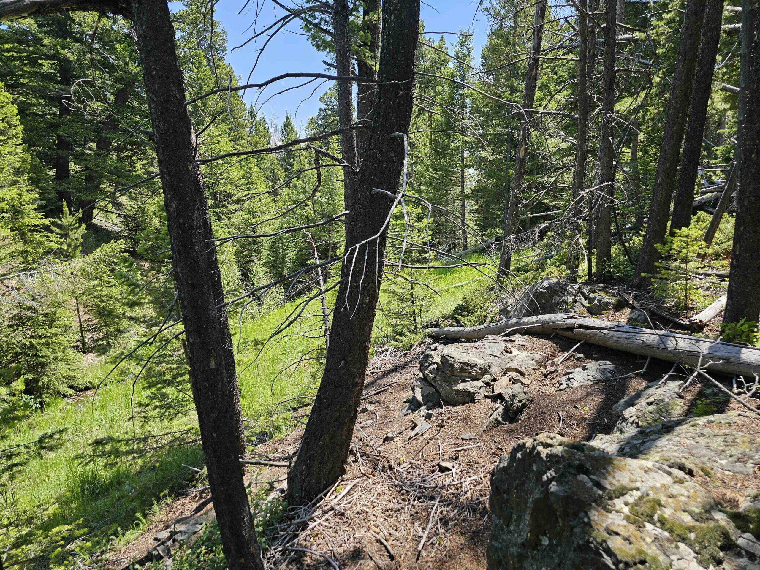acreage for sale, acreage for sale by owner, acreage for sale in montana, acreage in montana, buy land, buy land in montana, buy land montana, buy montana land, cheap land, cheap land for sale, cheap land for sale in montana, cheap land montana, cheap montana land, cheap off grid land, cheap off grid land for sale, for sale by owner, forsalebyowner, forsalebyowner montana, fsbo, fsbo montana, fsbo real estate, horse property for sale, horse property for sale in montana, hunting land for sale by owner, hunting land for sale in montana, hunting property for sale, hunting property for sale in montana, land for sale by owner, land for sale in Montana, land for sale Montana, land in Montana, lands for sale, landwatch, landwatch montana, montana acreages for sale, montana hunting land for sale, montana land, montana land for sale, montana land for sale by owner, montana mountain land for sale, montana property, Montana property for sale, montana real estate, mountain land for sale, mountain land for sale in montana, mountain properties for sale, mountain property for sale, mountain real estate, off grid land, off grid land for sale, off grid property for sale, off grid real estate, off the grid, property, property for sale by owner, property for sale by owner in montana, property for sale in Montana, property for sale montana, property in Montana, remote properties, remote property for sale, western montana land for sale