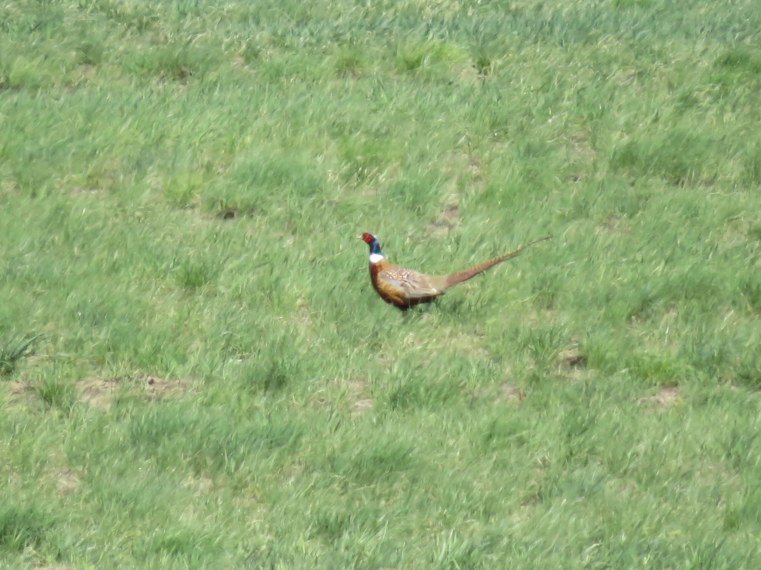 Missouri River 20-10