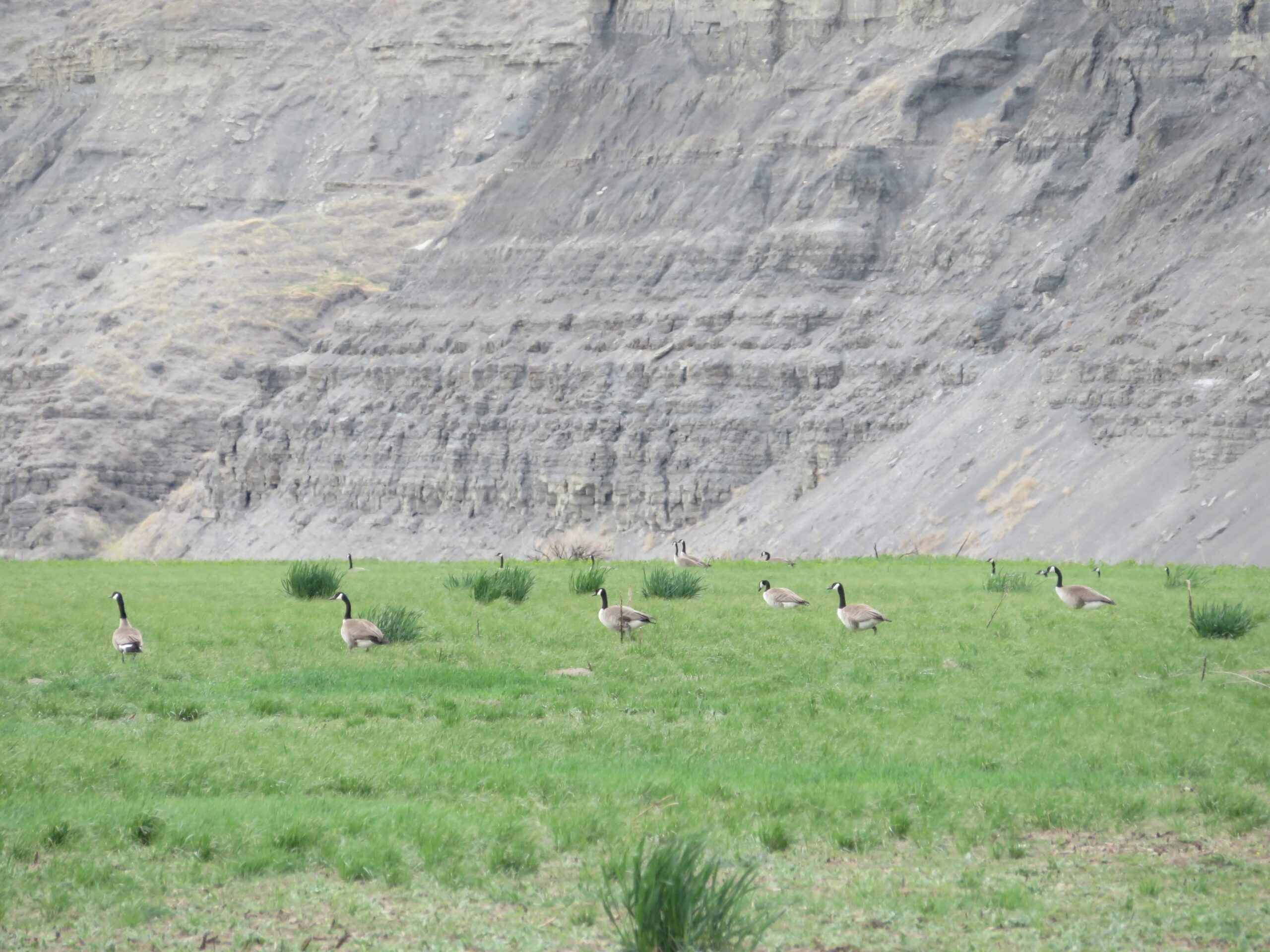 Missouri River 20-13